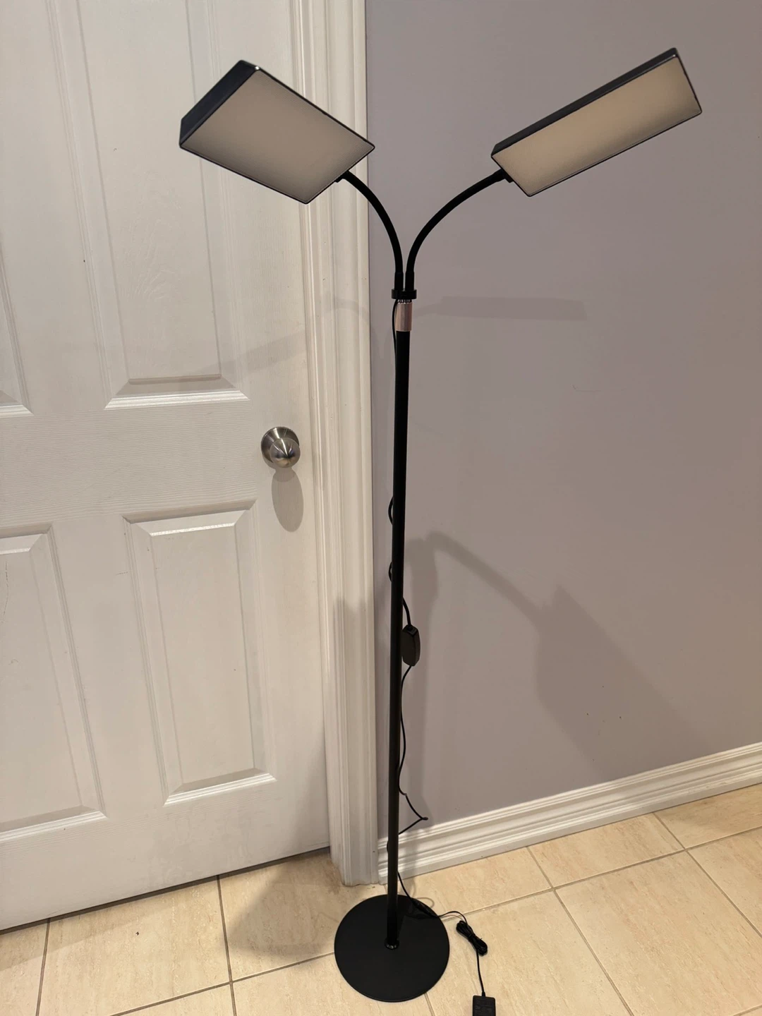 Grow Light Floor Lamp with Dual Heads - photo 2