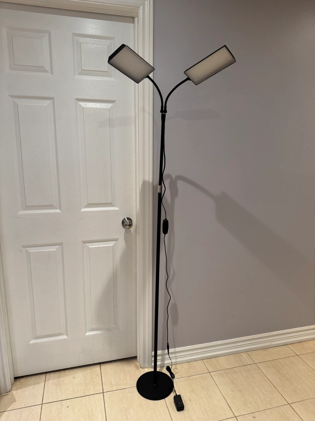 Grow Light Floor Lamp with Dual Heads - photo 3