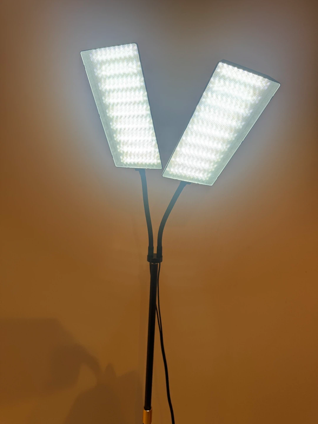 Grow Light Floor Lamp with Dual Heads - photo 5