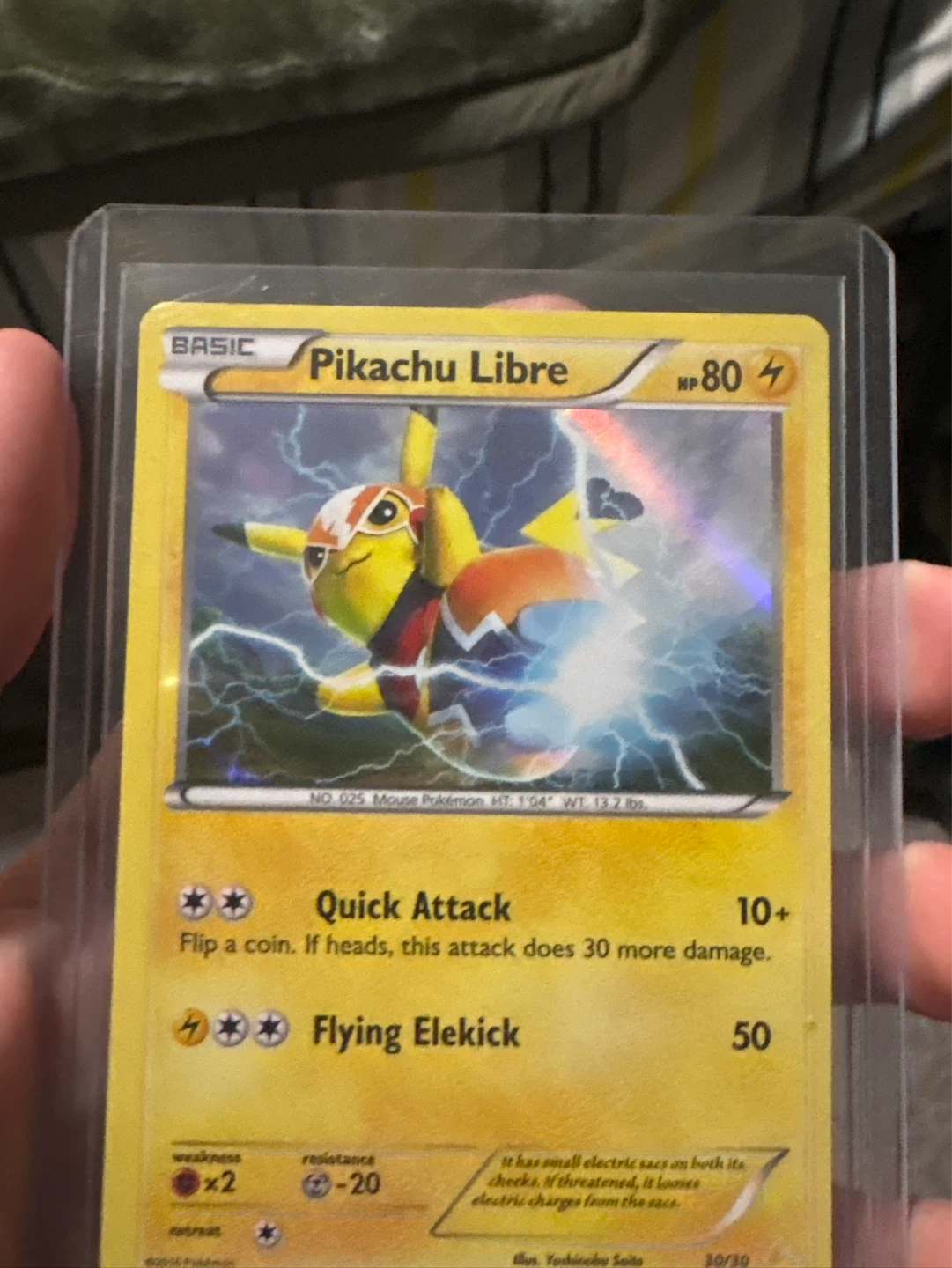 Pikatchi libre 14/30