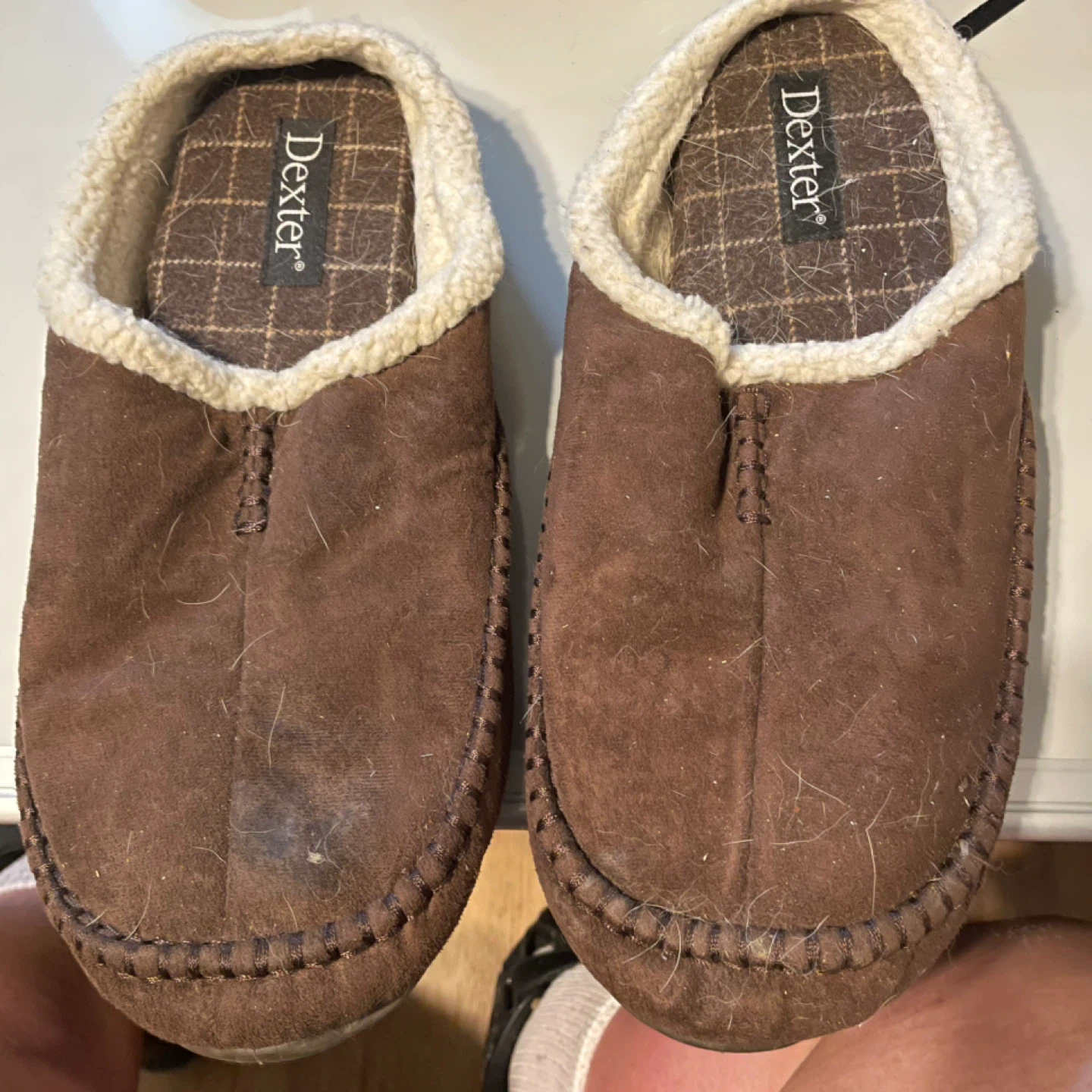 Dexter Men's Brown Suede Slippers