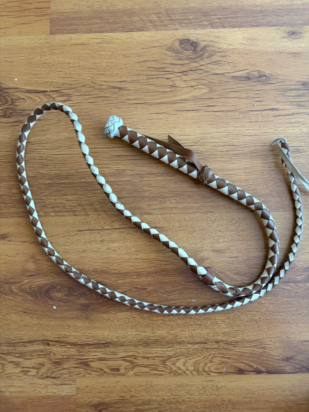 Braided Vintage Leather Whip