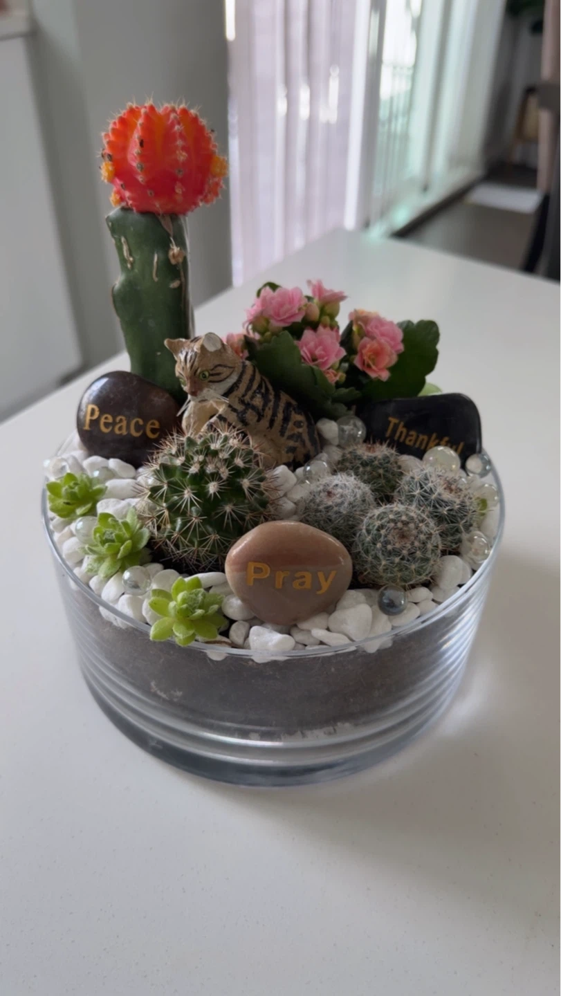 🌵✨ Mini Garden Arrangement – Charming & Unique! ✨🌵 - photo 2