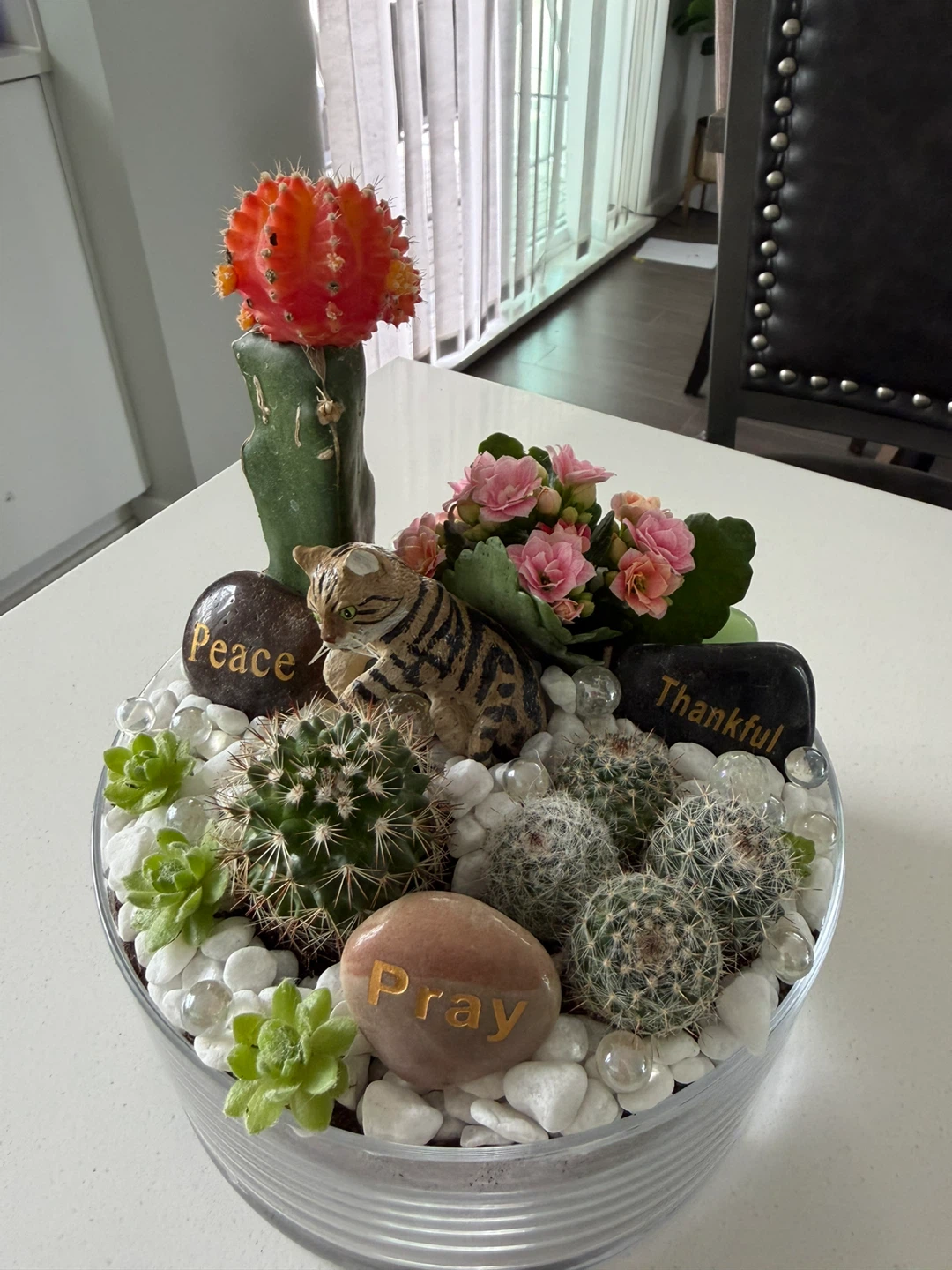 🌵✨ Mini Garden Arrangement – Charming & Unique! ✨🌵