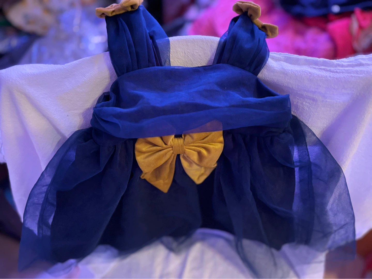 Blue Tulle Dress with Gold Bow