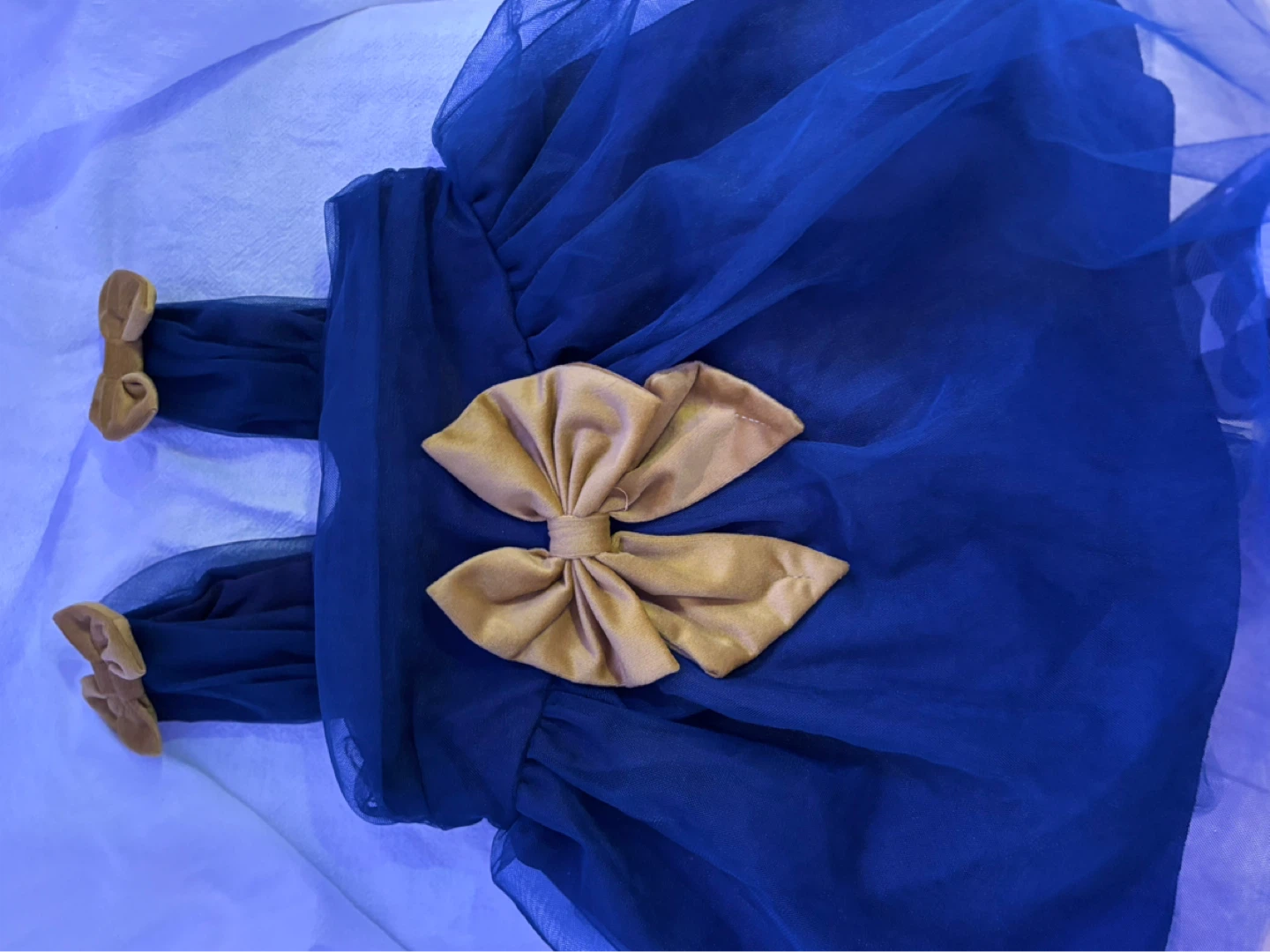 Blue Tulle Dress with Gold Bow - photo 2