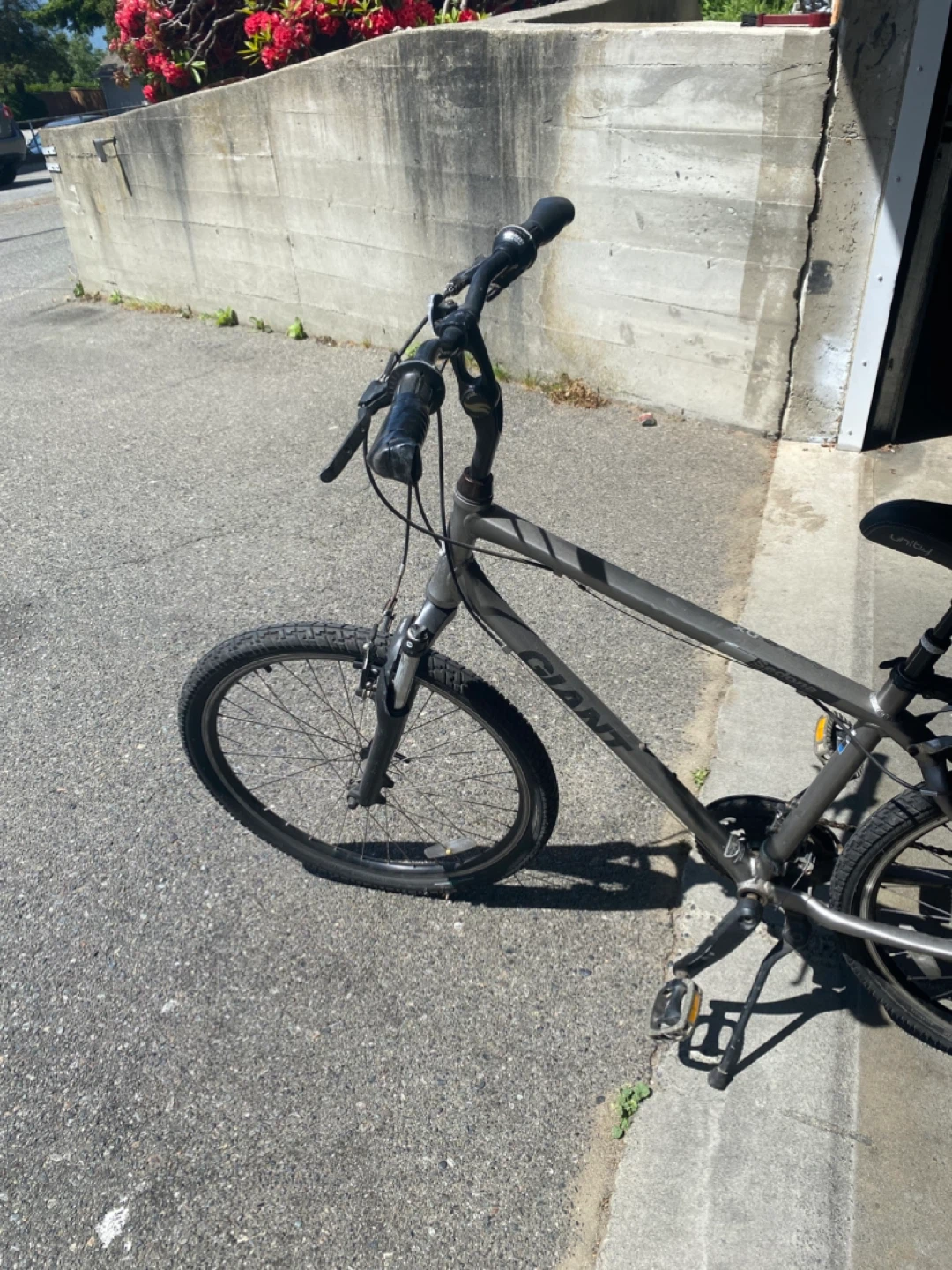 Giant bicycle