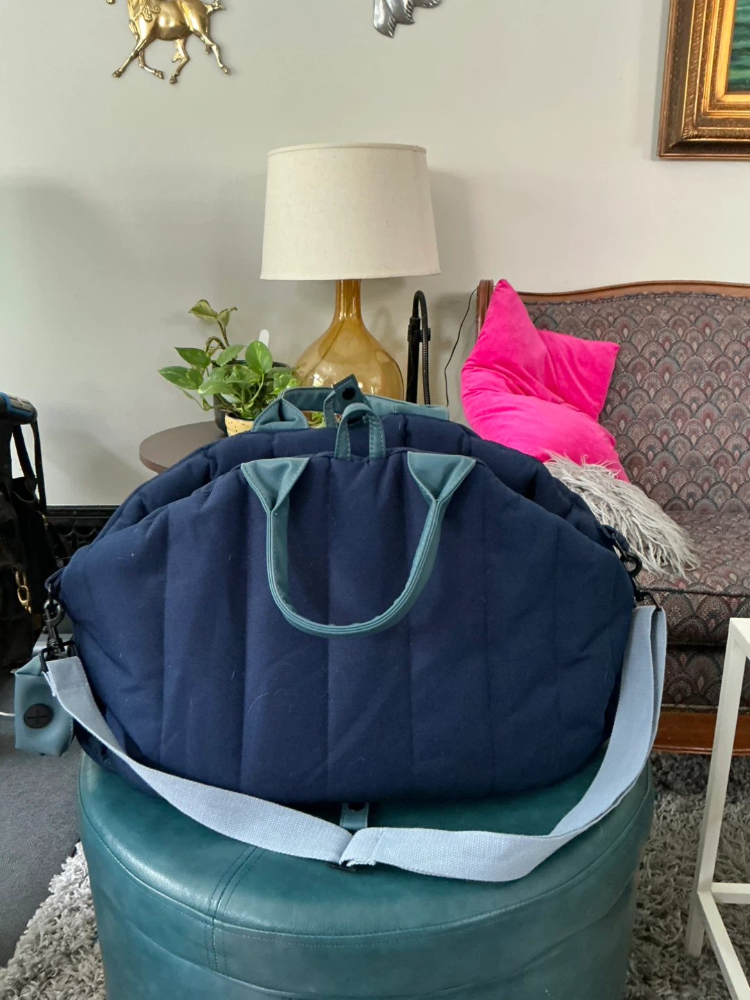 Pet Carrier Bag for Medium Dogs