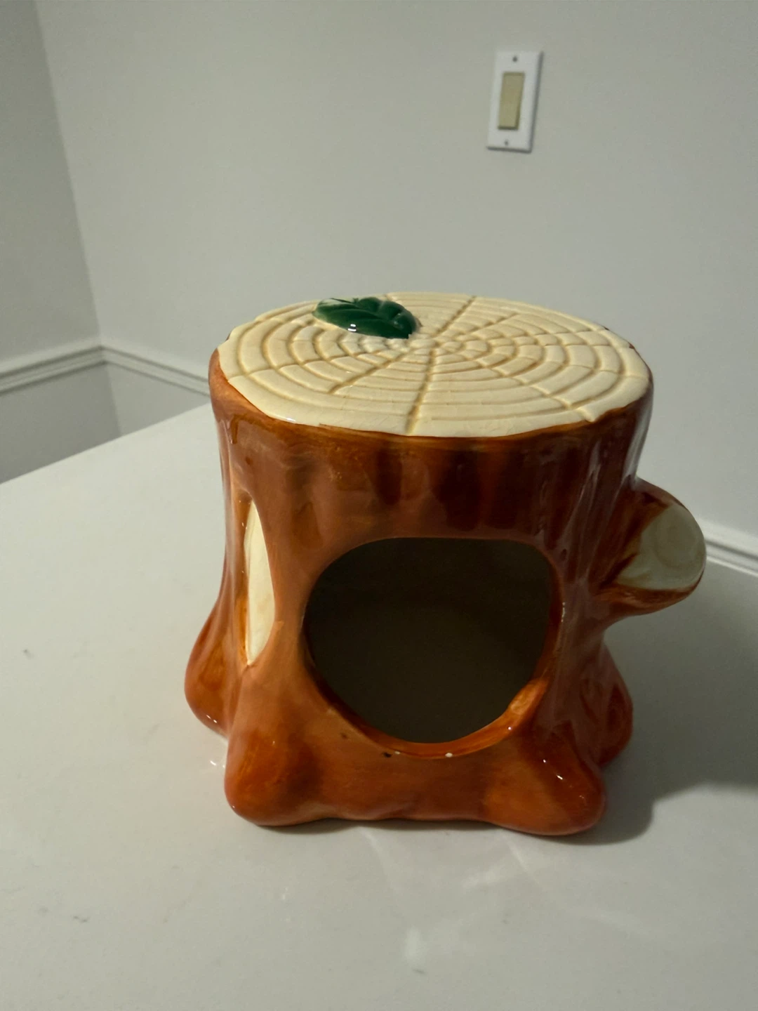 Hamster’s home