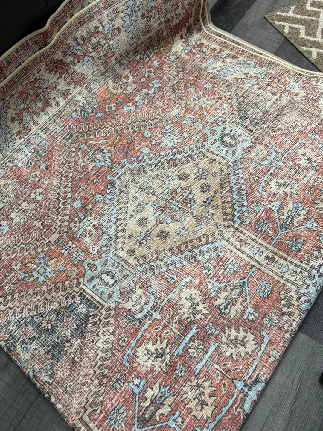 Distressed Medallion Area Rug