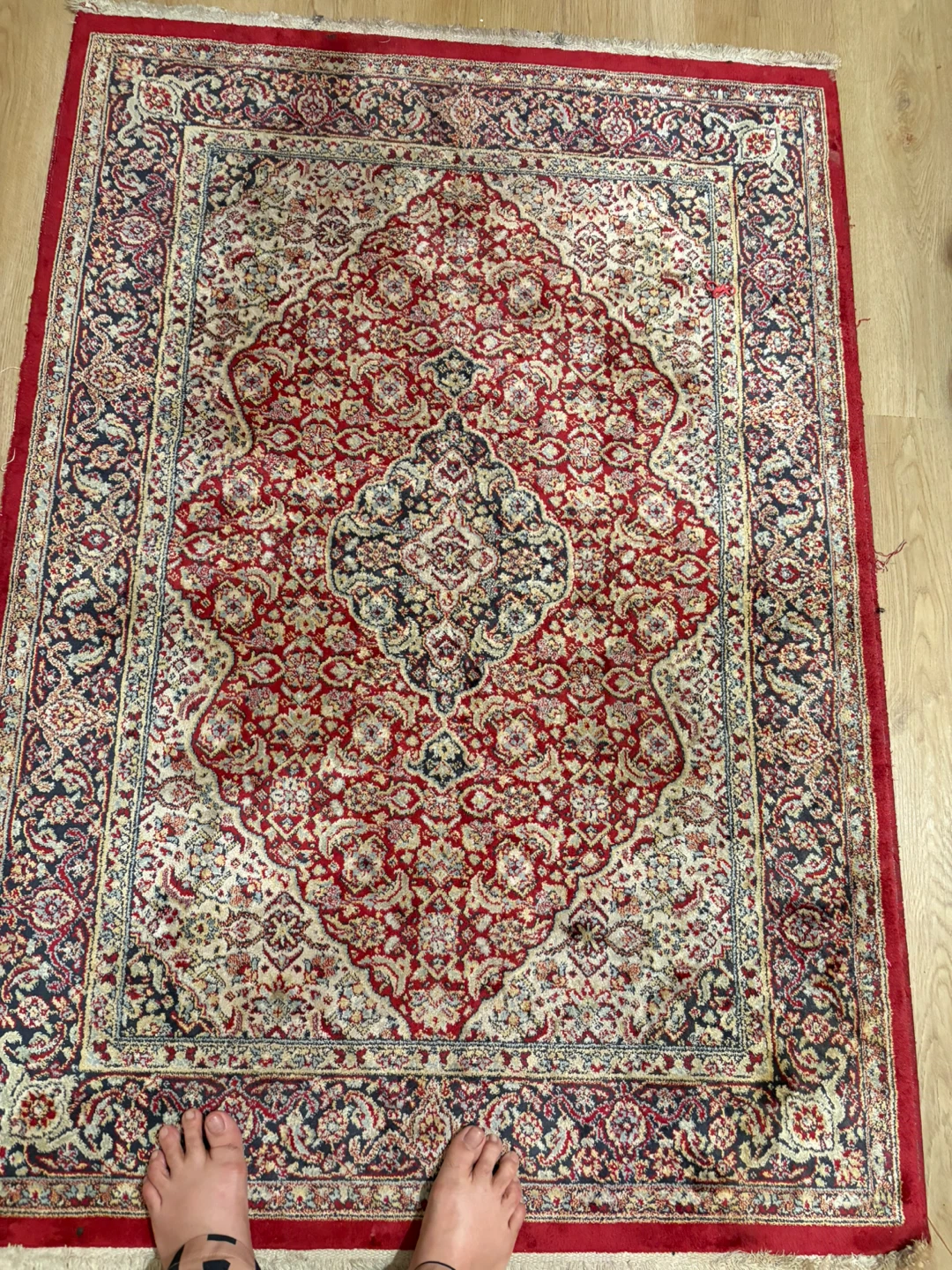 Persian Style Area Rug