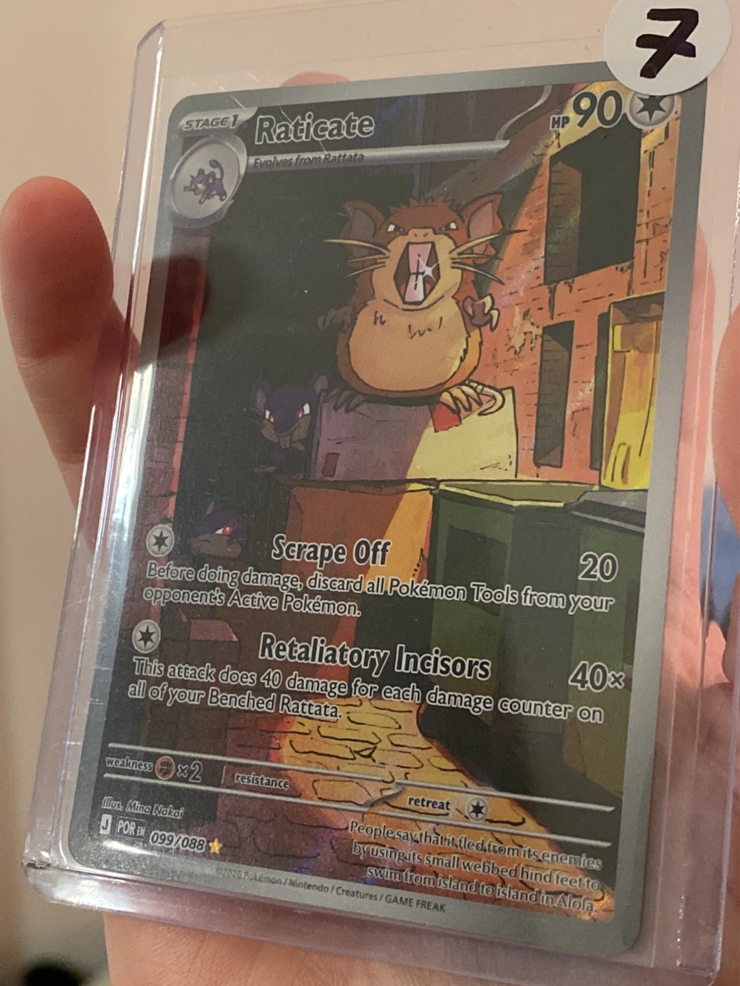 Raticate Pokémon Card - Perfect Order - photo 3
