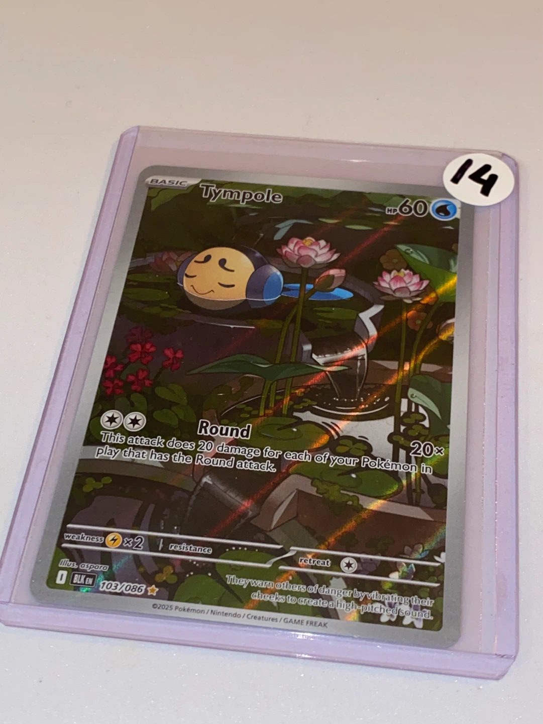 Pokémon TCG Tympole Card 103/086