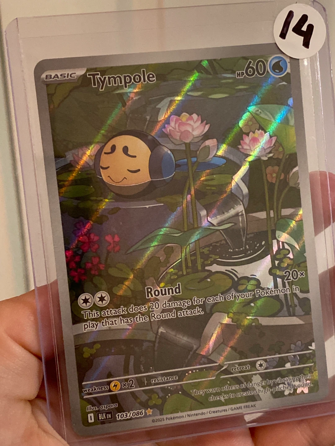 Pokémon TCG Tympole Card 103/086 - photo 3