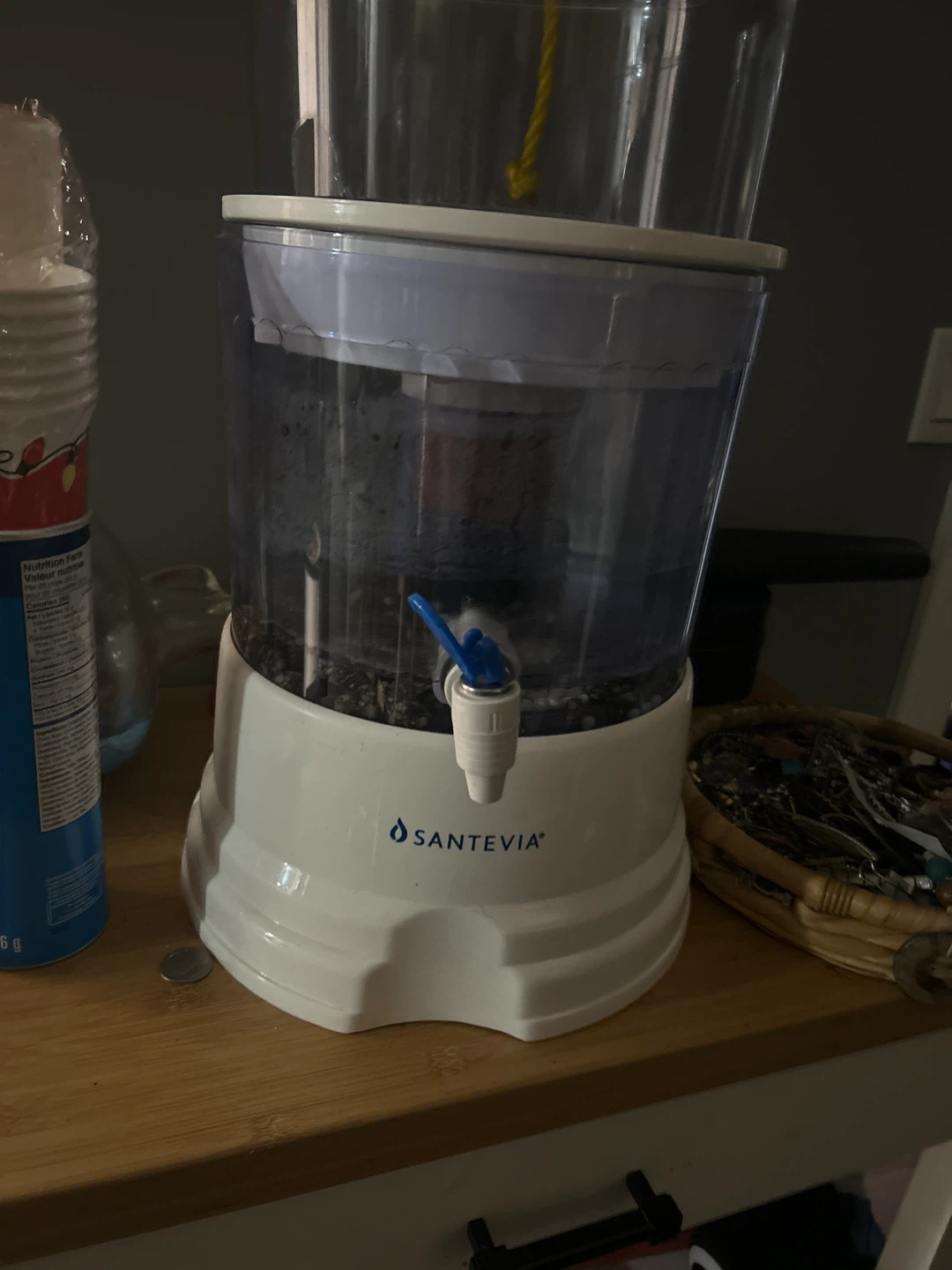 Santevia Water Filter Dispenser