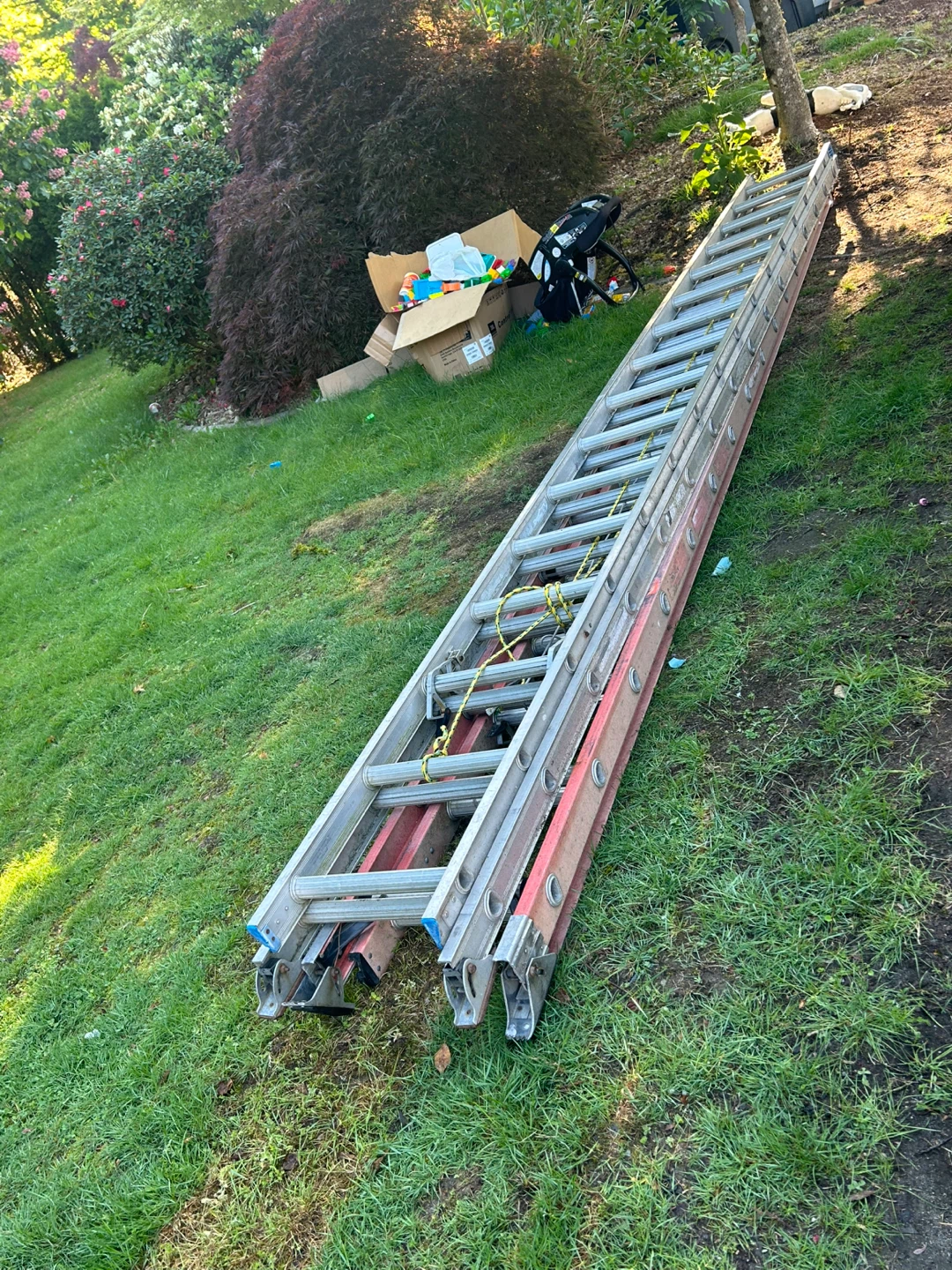 Extension Ladder