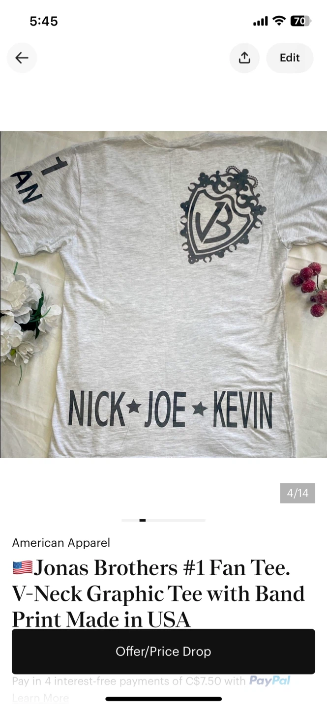 Jonas Brothers #1 Fan Tee V-Neck gray Graphic T-Shirt