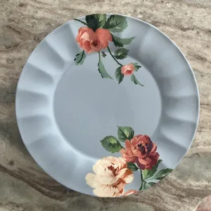 Anthropologie Plates - Set of 8