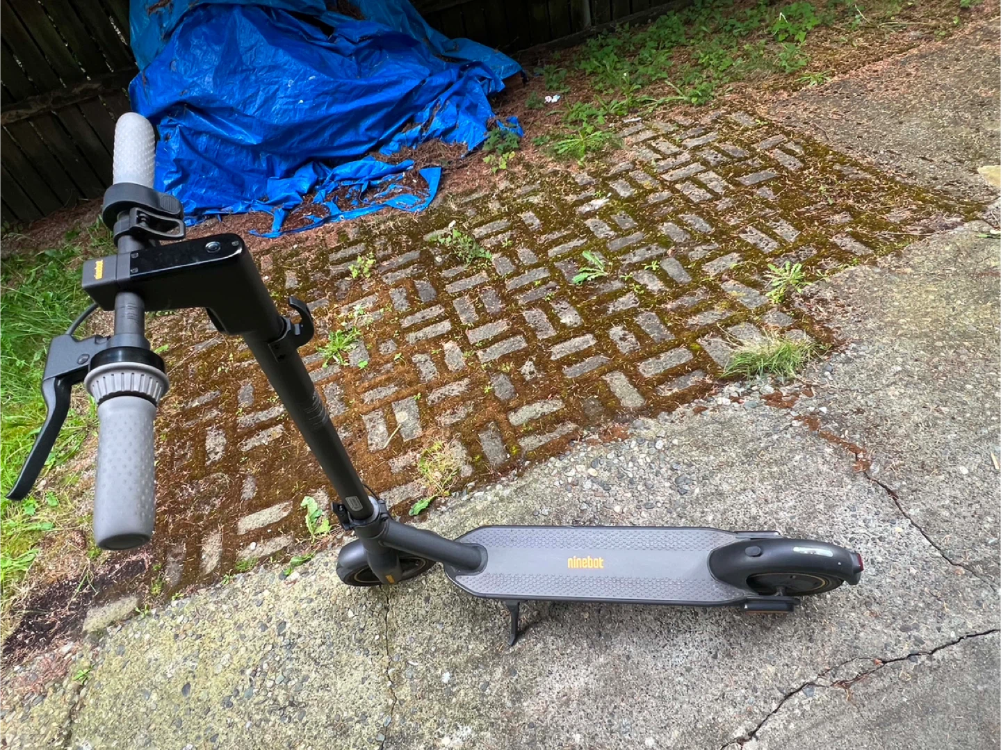 Ninebot G30 - photo 4