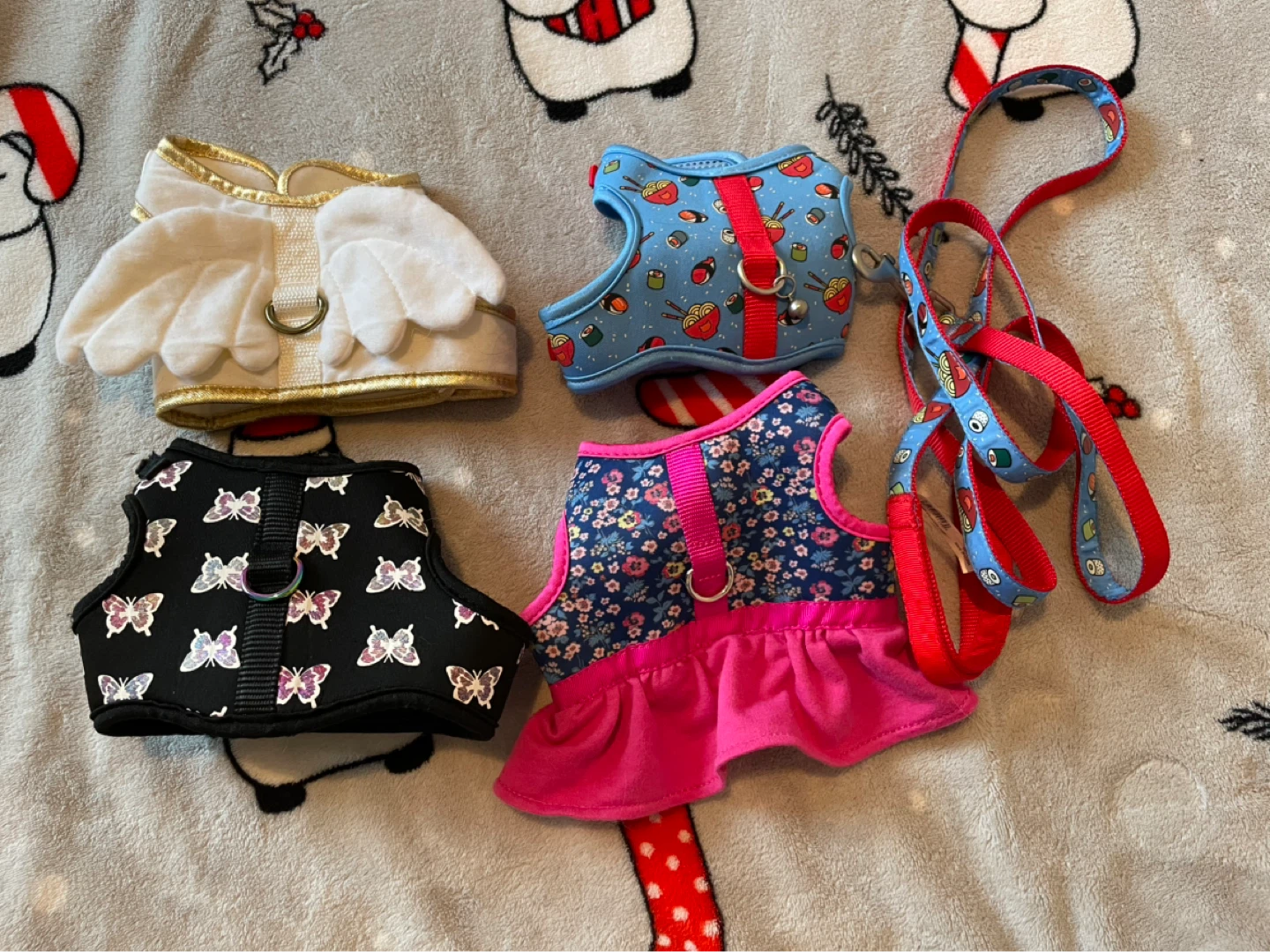 Cat/Kitten Harnesses & Leash Lot