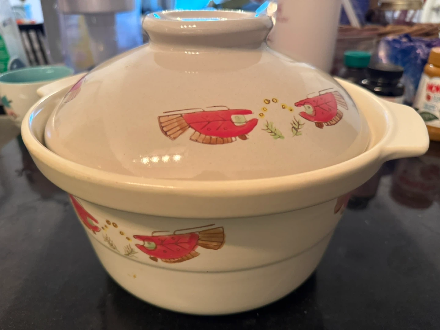 Ceramic Cooking Pot with Lid