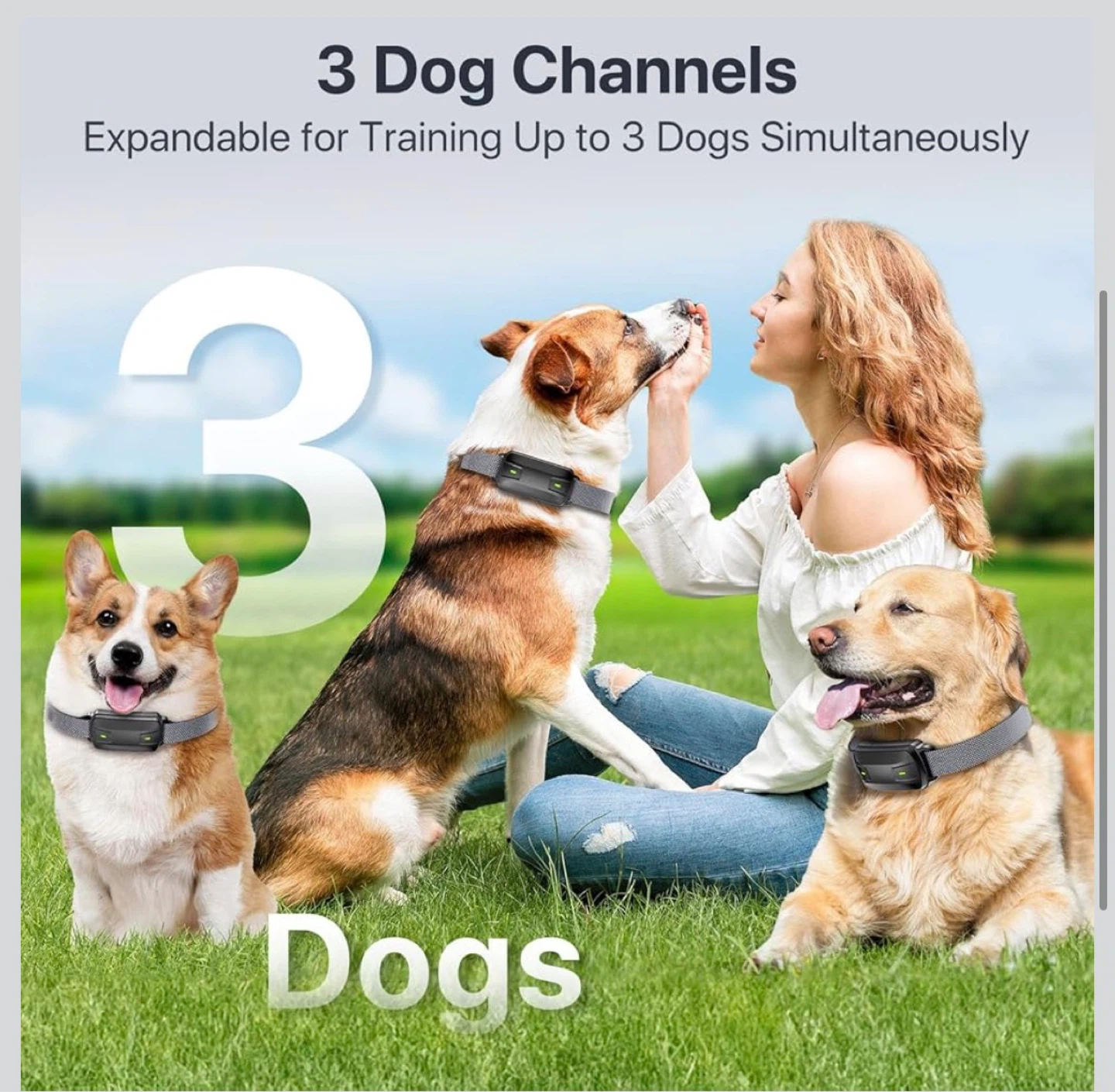Drroon Dog Training Collar with Remote - photo 4