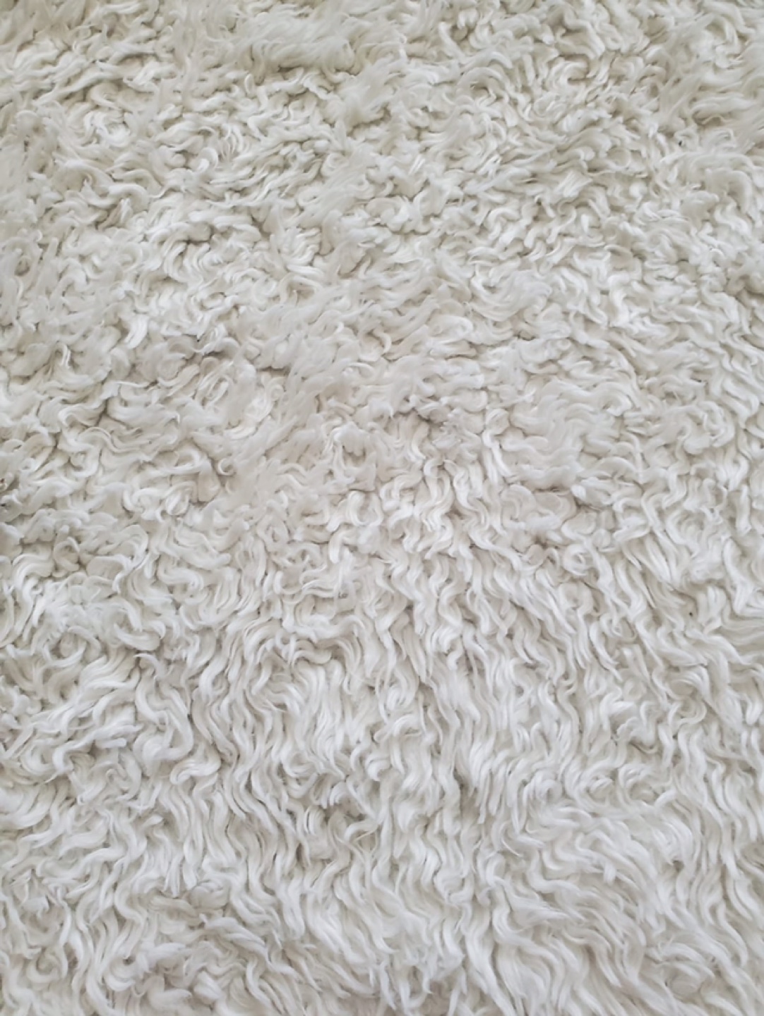Cream Shaggy Rug - photo 4