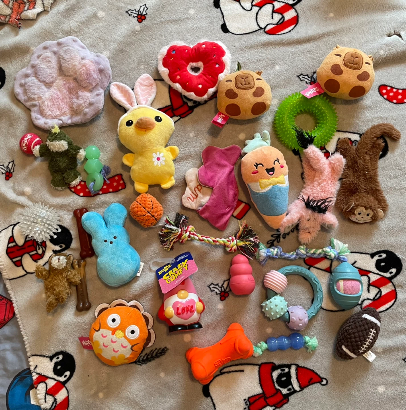 29pc Small Dog Toys Lot