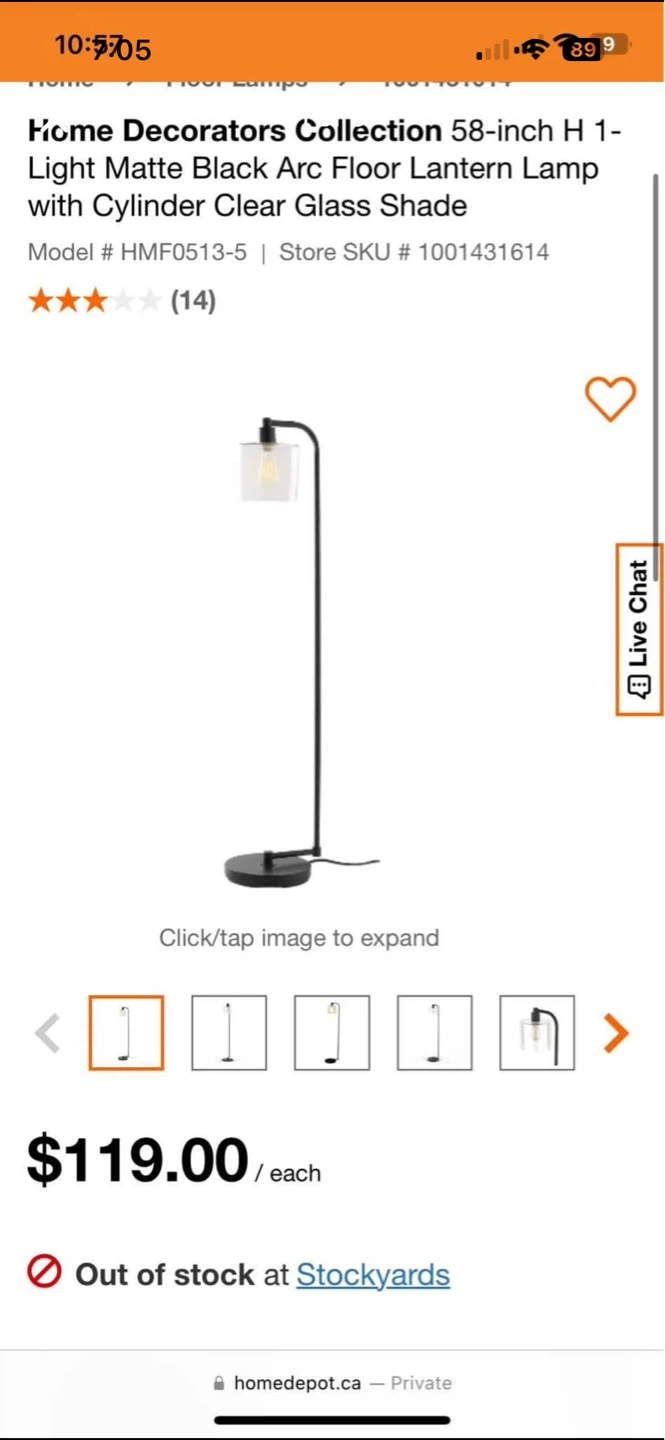 Home Decorators Collection 58-inch Floor Lamp