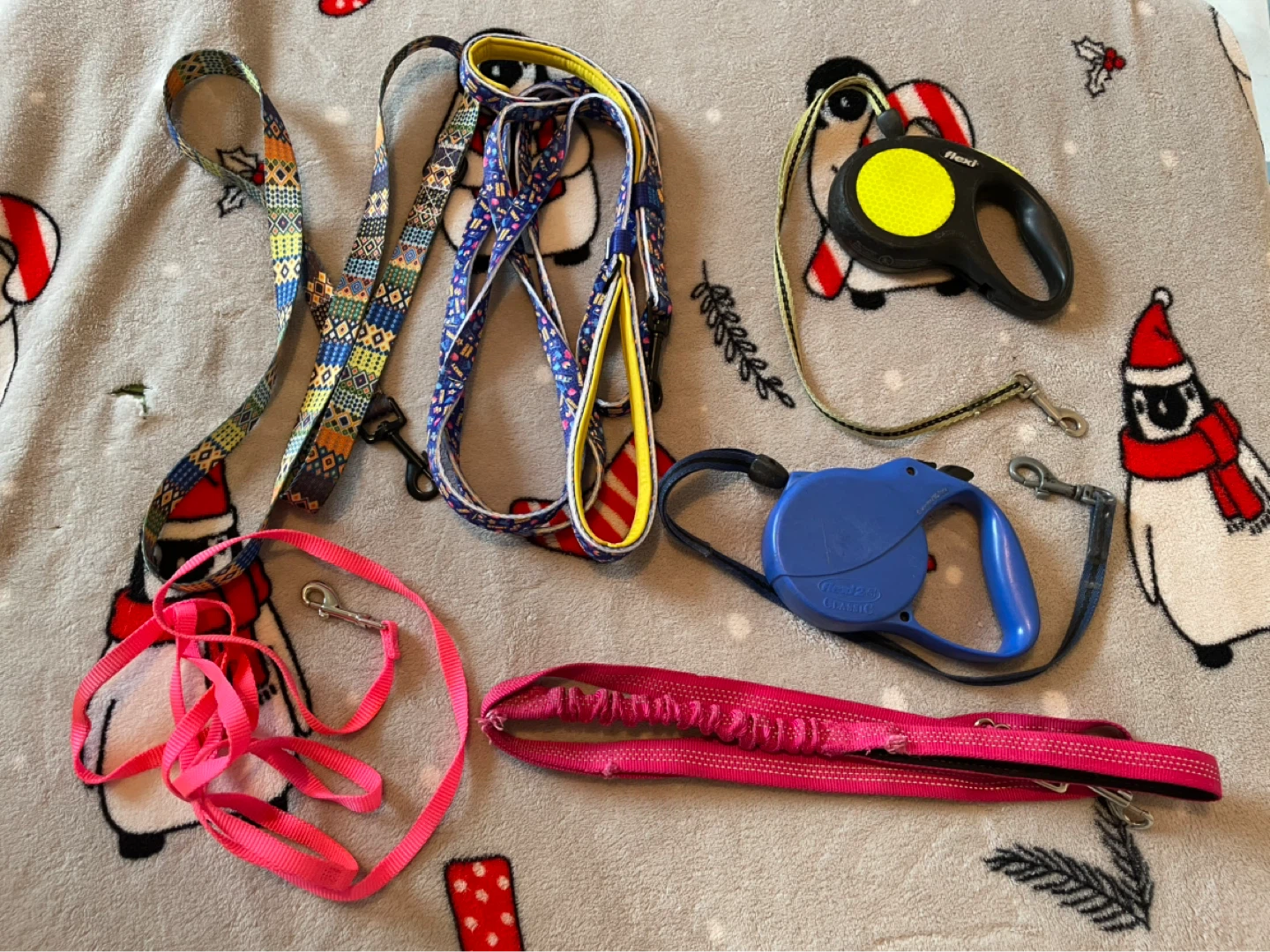 Small Dog Leashes Lot
