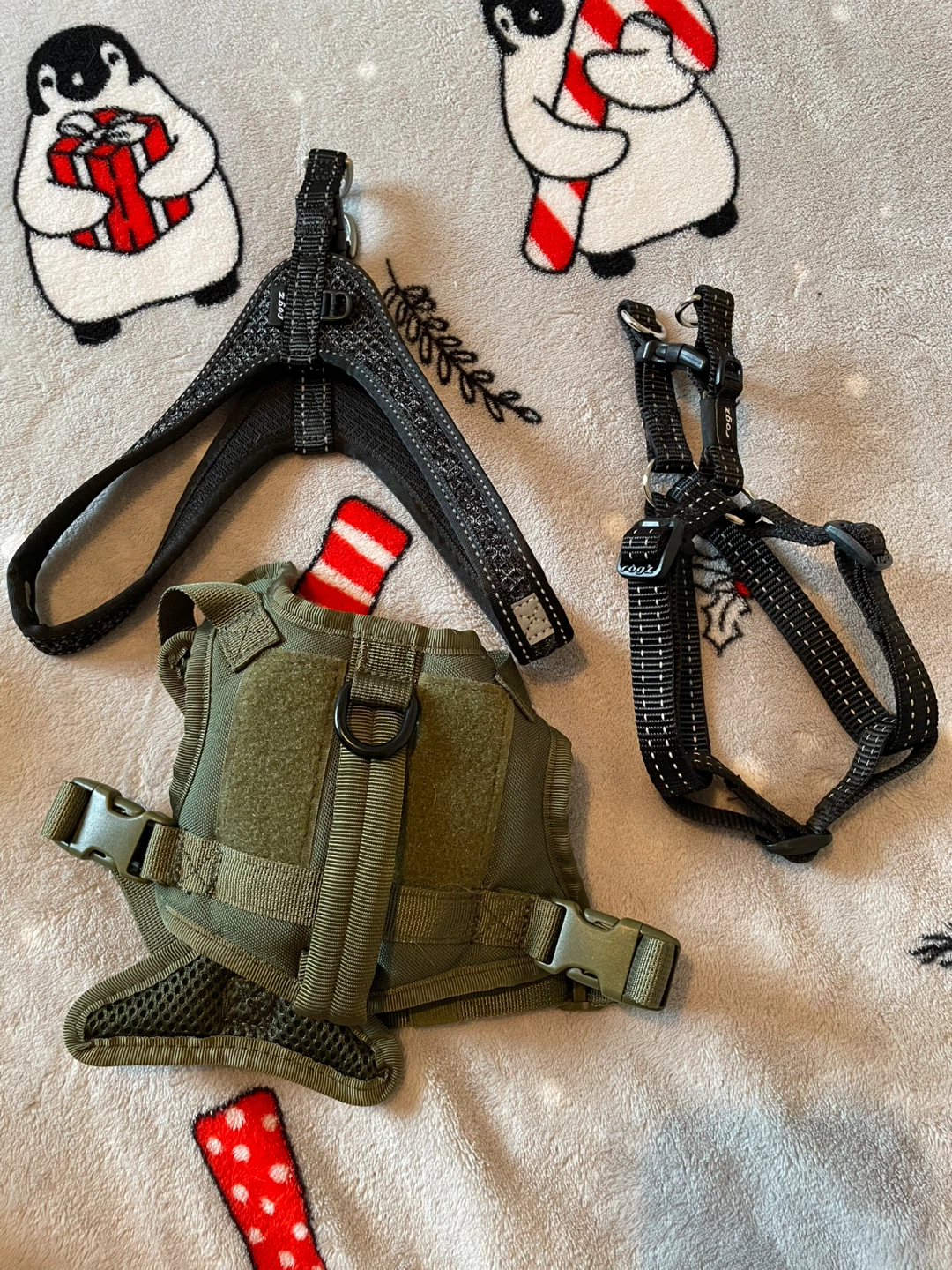 Small Dog Harnesses