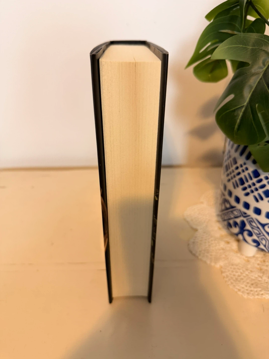 Brand New Shield of Sparrows by Devney Perry (Hardcover) - photo 3