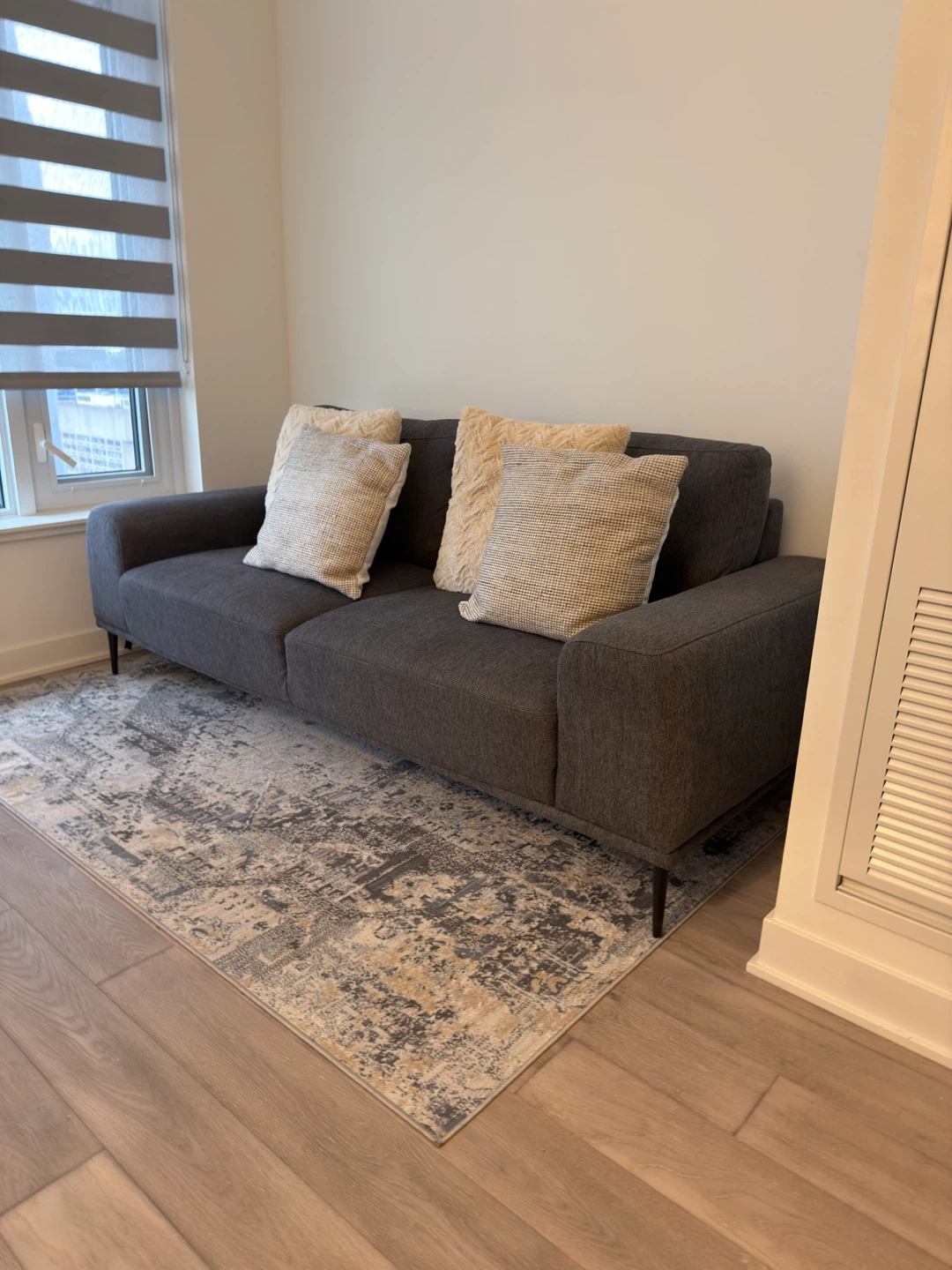 L'Baiet Anna Grey 5 ft. x 7 ft. Oriental Indoor Area Rug