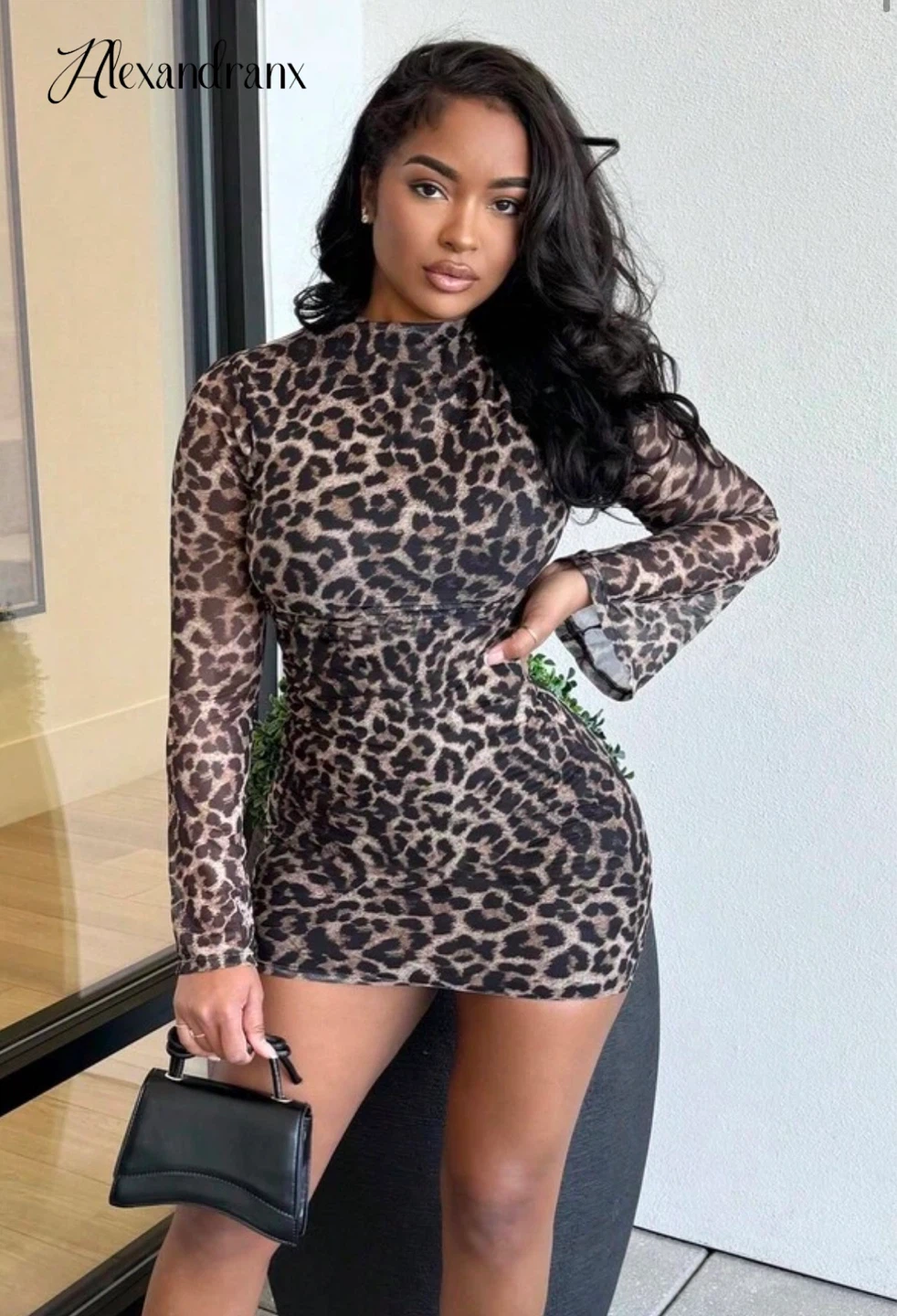 Women's Leopard Print Mesh Long Sleeve Mini Dress