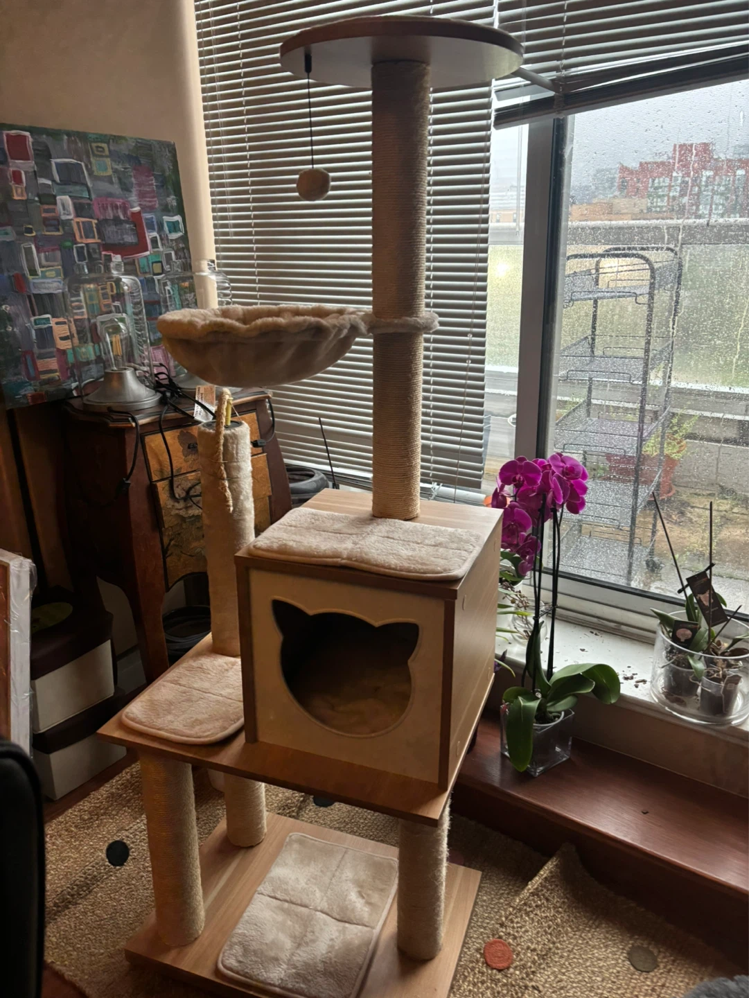 Multi-level Cat Tree Condo with Hammock