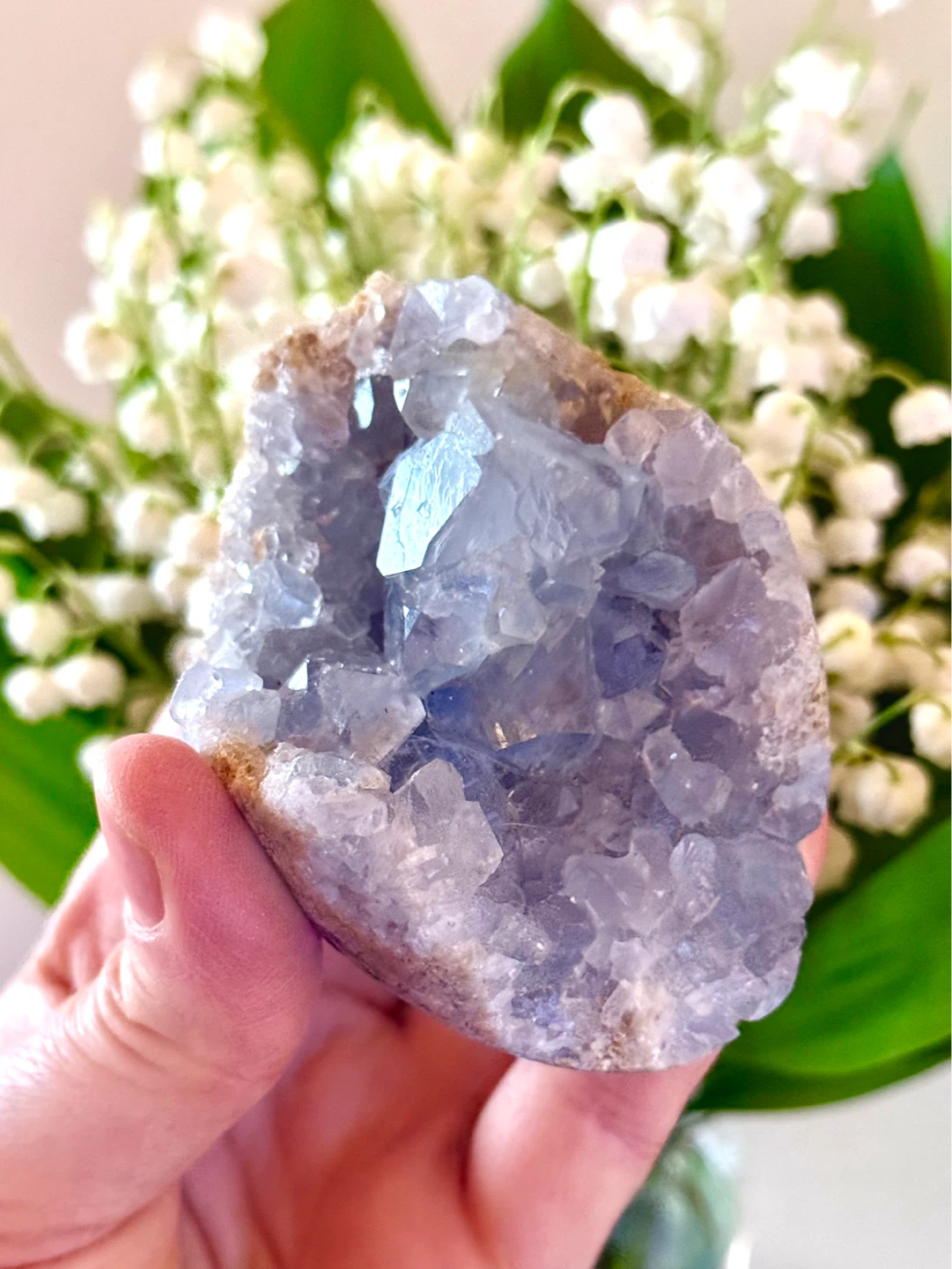 Genuine Blue Celestite Celestine Crystal Geode From Madagascar
