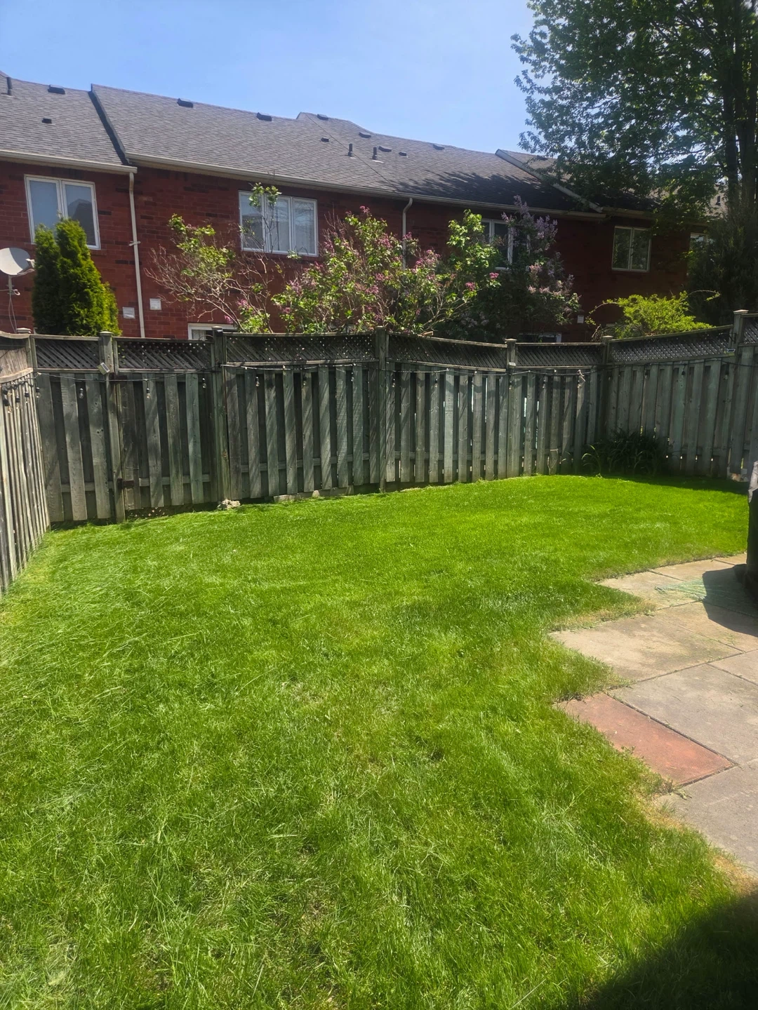 Matthew's Grass Cutting Services - photo 4