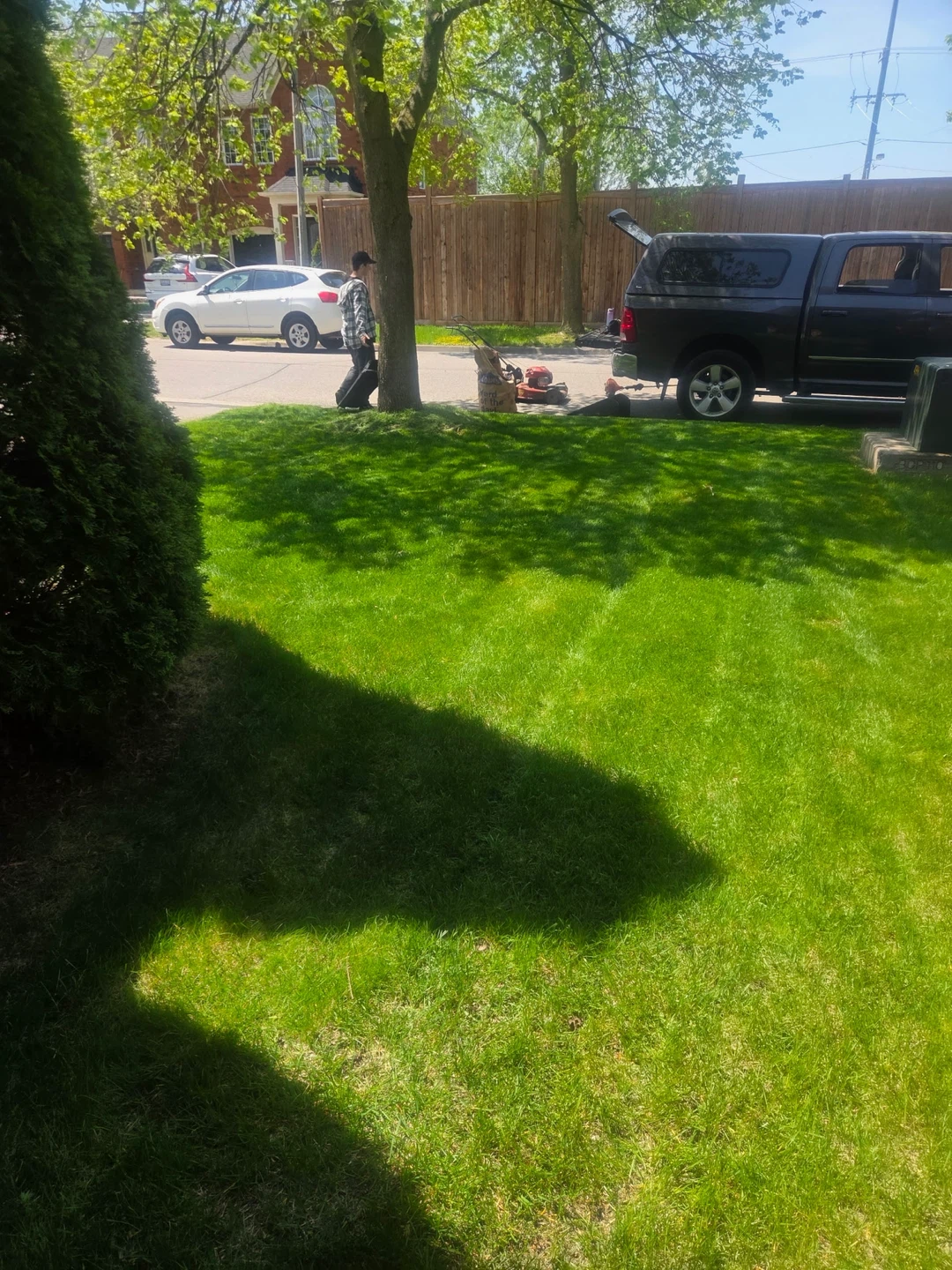Matthew's Grass Cutting Services - photo 3