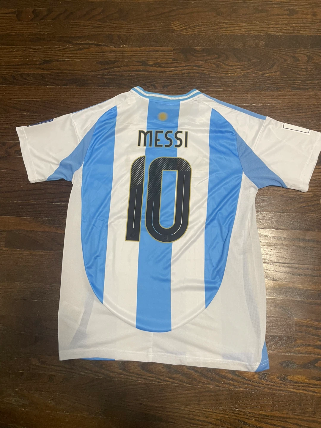 Lionel Messi Argentina 2026 World cup - photo 2