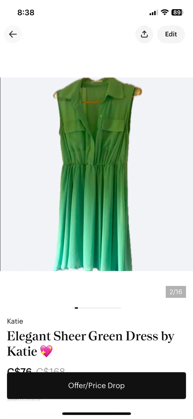 Katie Elegant Sheer Green Dress HIDDEN BUTTON UP CLOSURE.