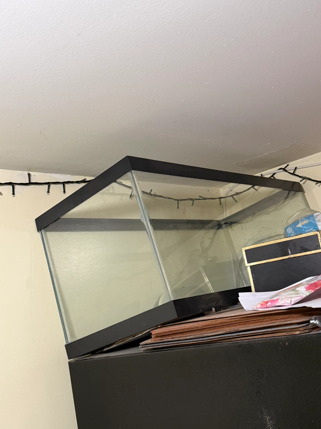 Glass Aquarium Tank