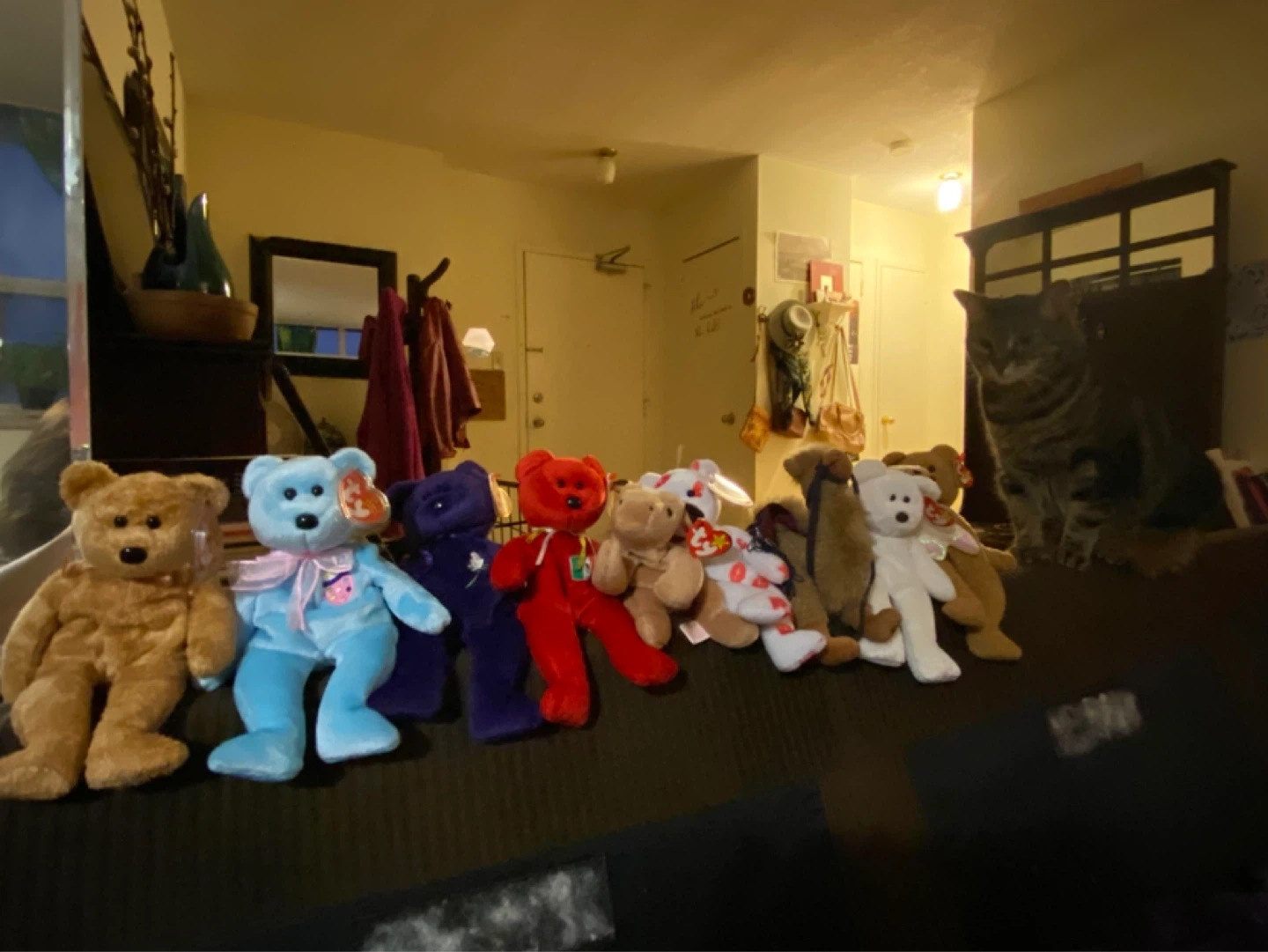 Collection of Ty Beanie Babies Plush Toys - photo 4