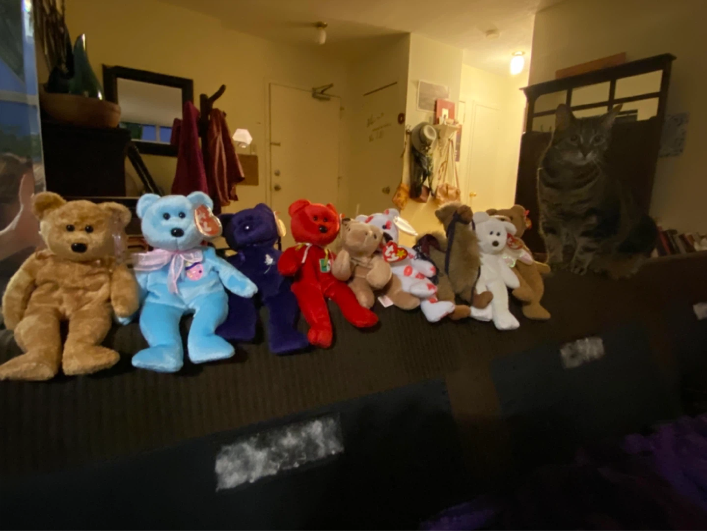 Collection of Ty Beanie Babies Plush Toys