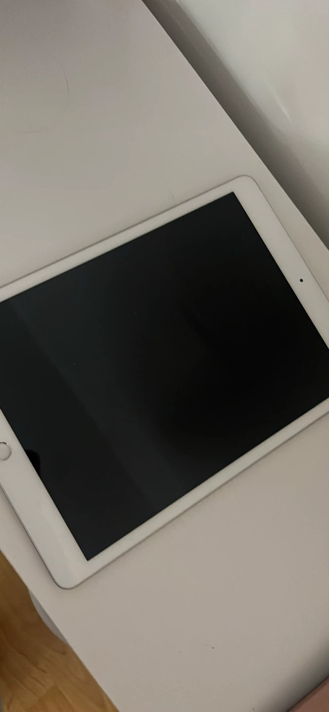 Apple iPad Tablet - photo 3