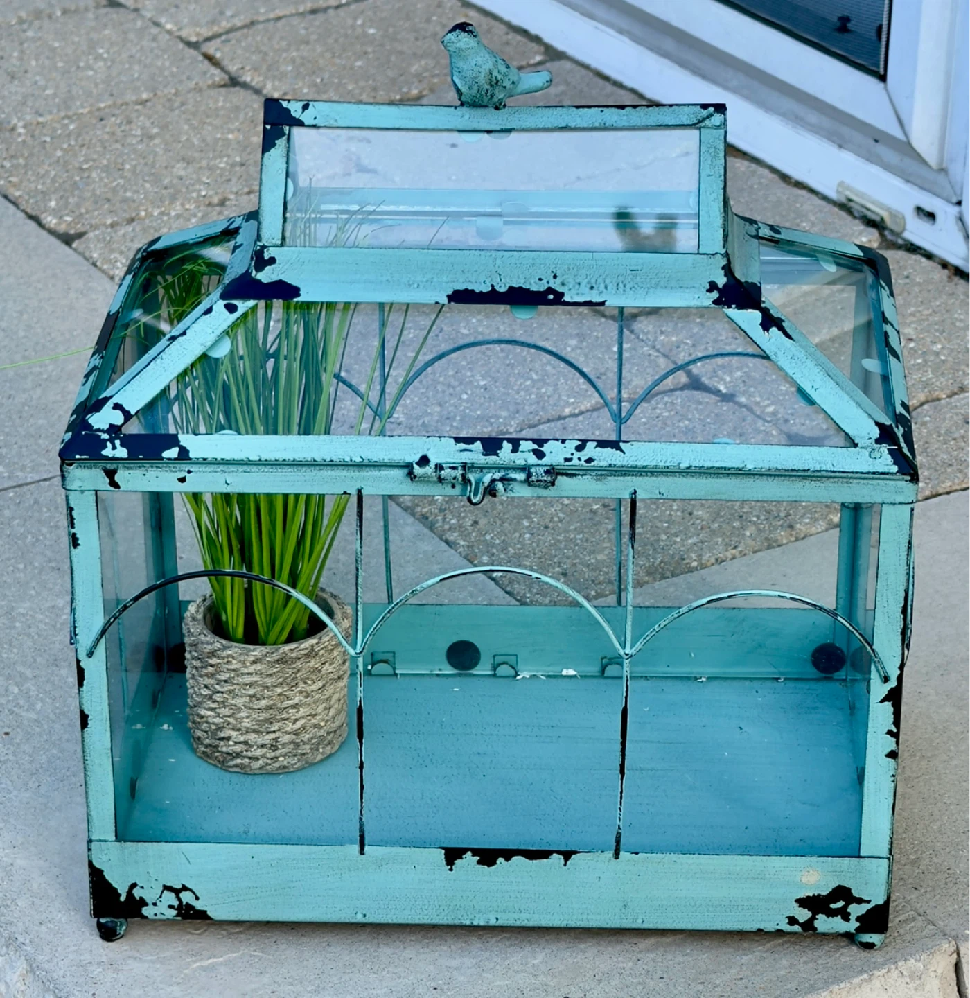 PRETTY GLASS TERRARIUM