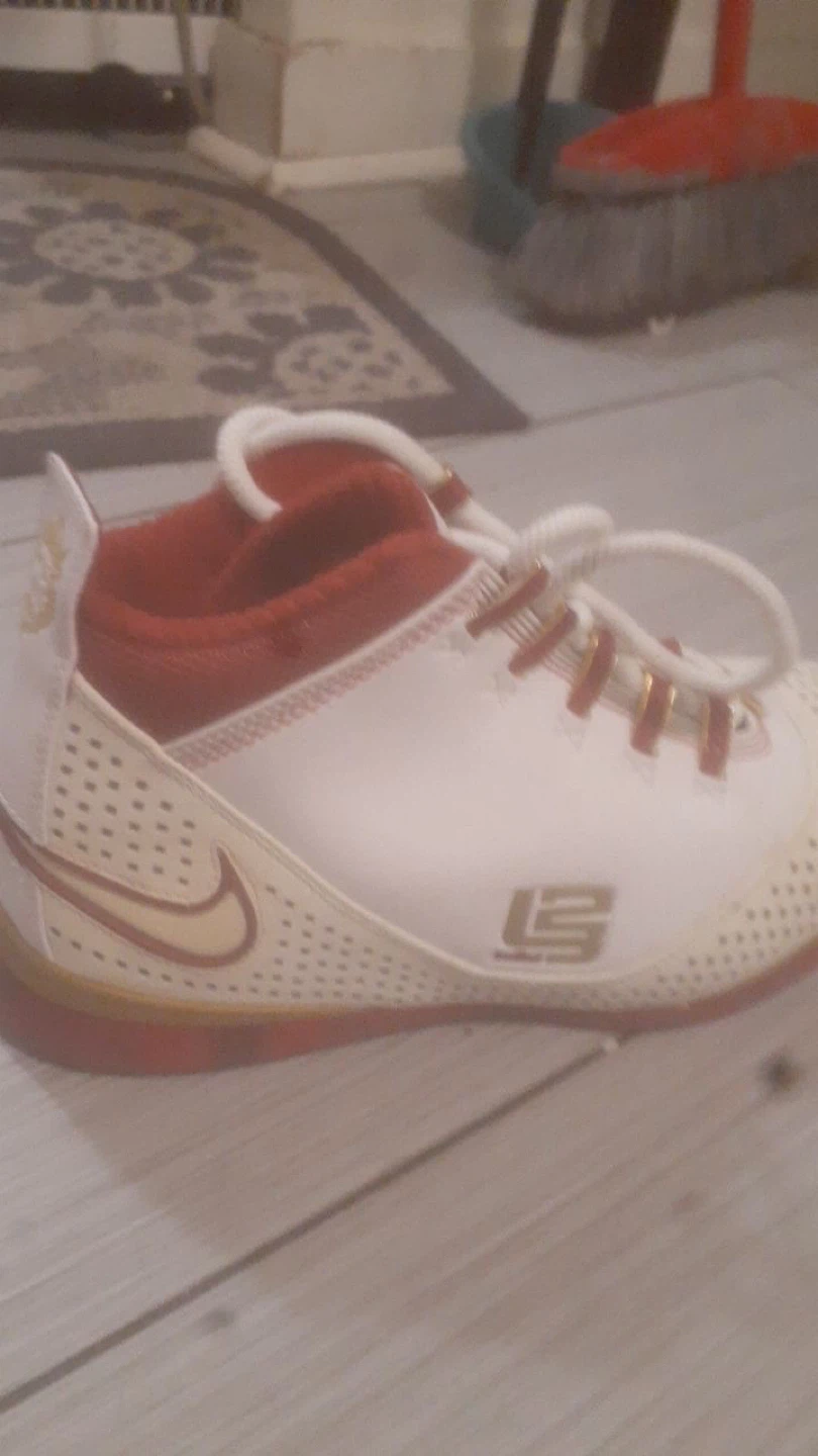 Nike LeBron Zoom Soldier 2 Colorway 'China' Shoes