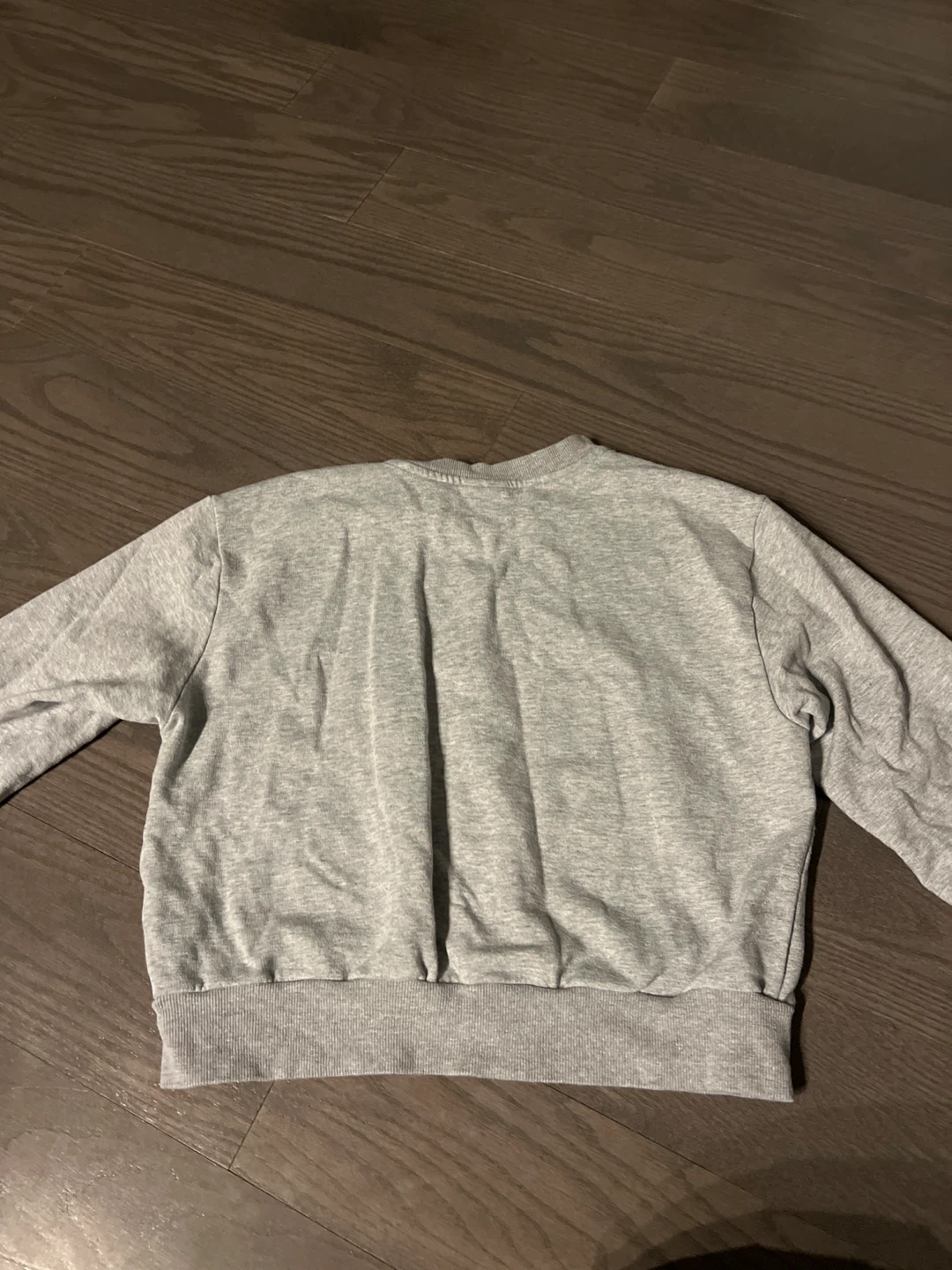 Aritzia Grey Crewneck Sweatshirt - photo 2