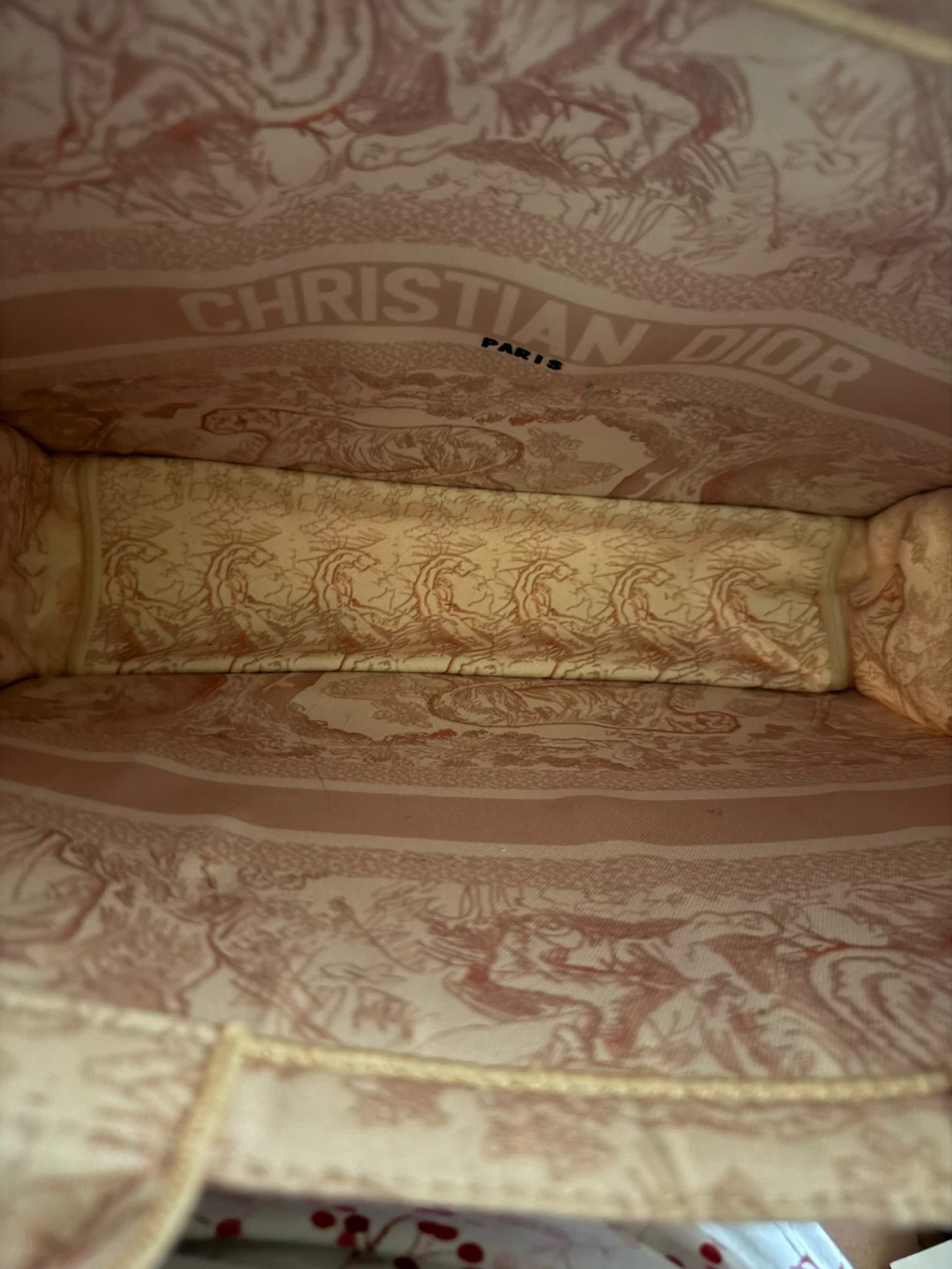 Christian Dior Book Tote Bag - photo 5