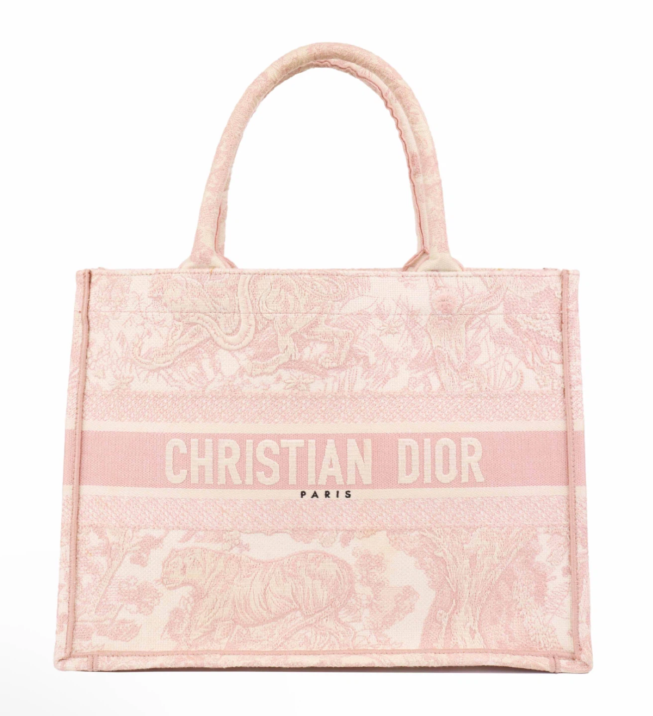 Christian Dior Book Tote Bag