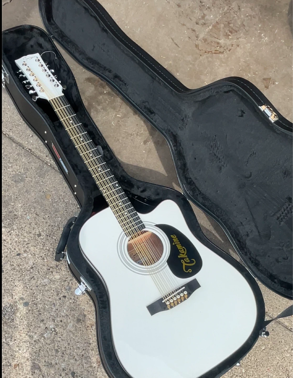 Guitar SIMGER